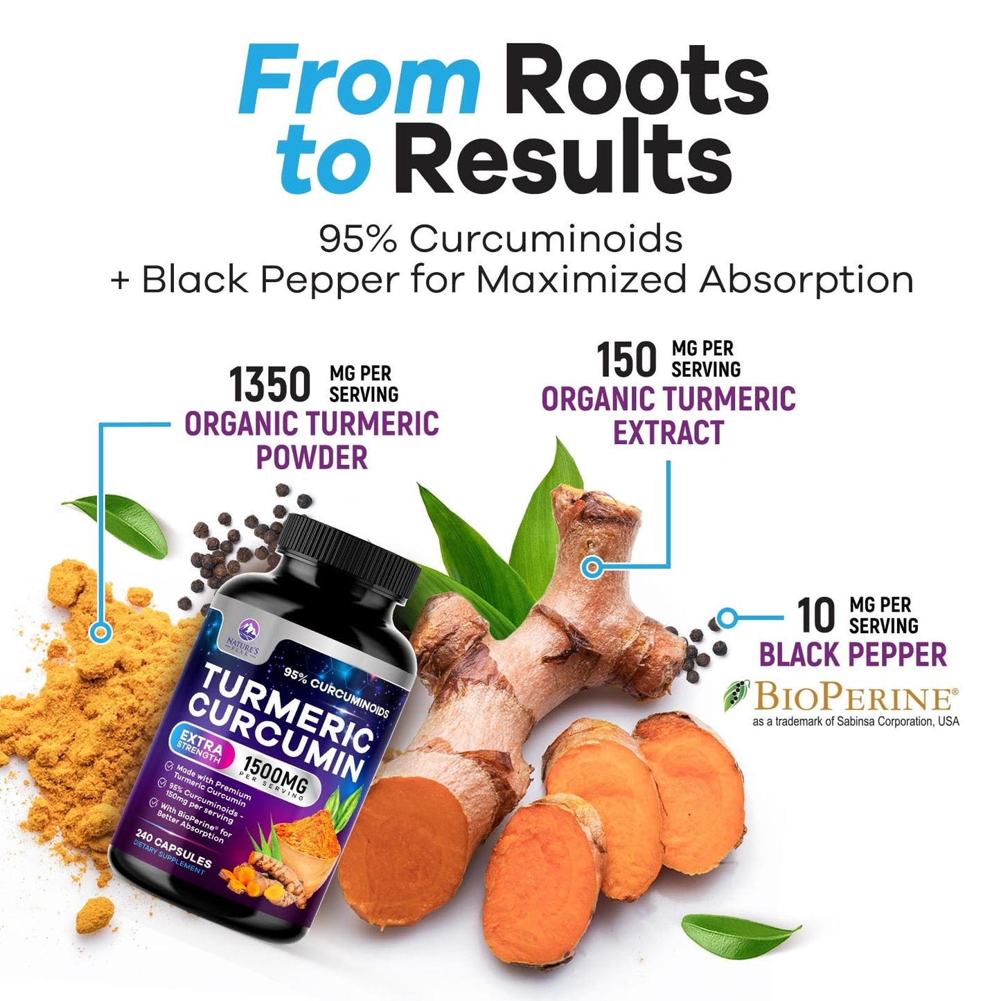 Nature's Peak Turmeric Curcumin Supplement Capsule 240 Capsules