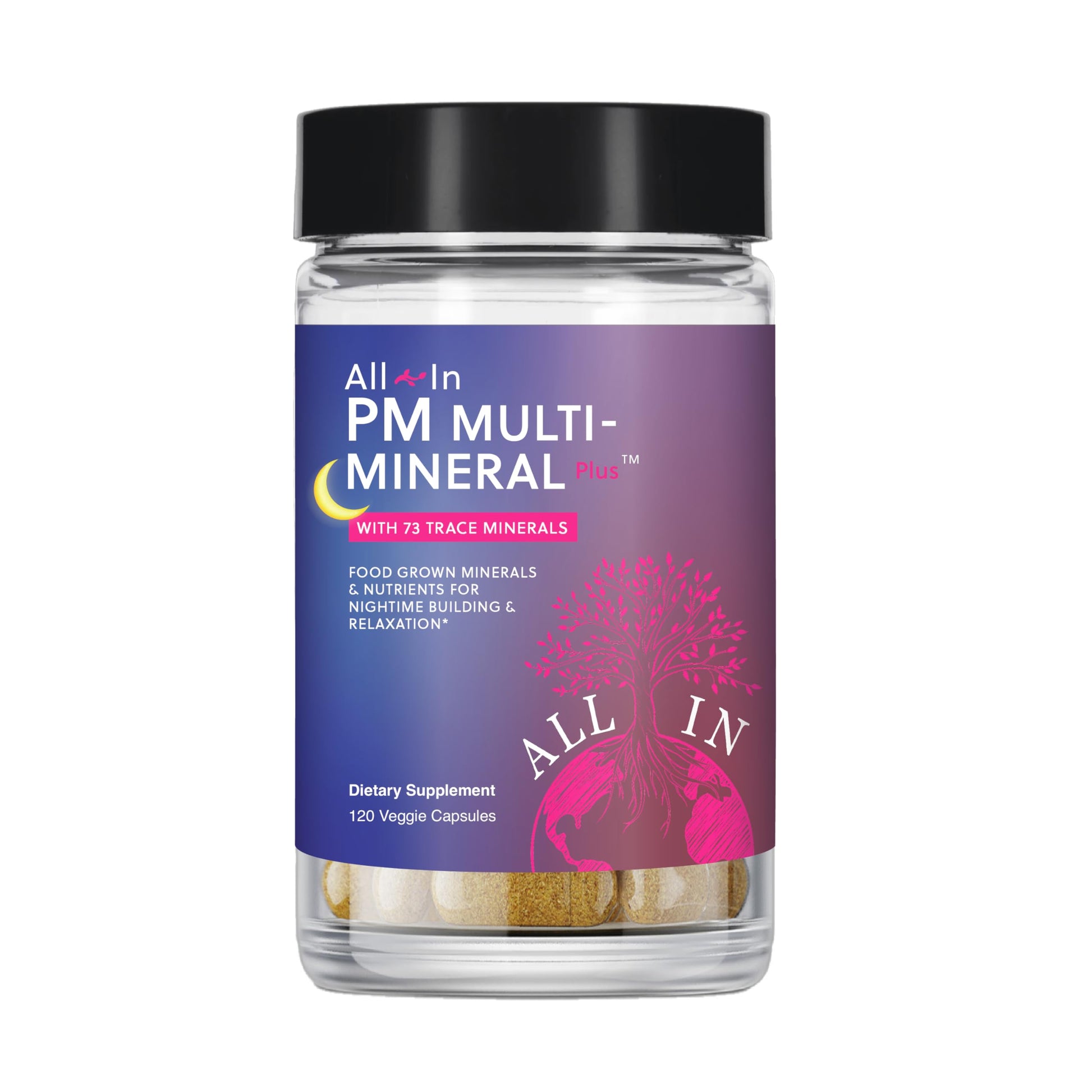 All In Nutritionals PM Multi-Mineral+ Tablet, 120 Count