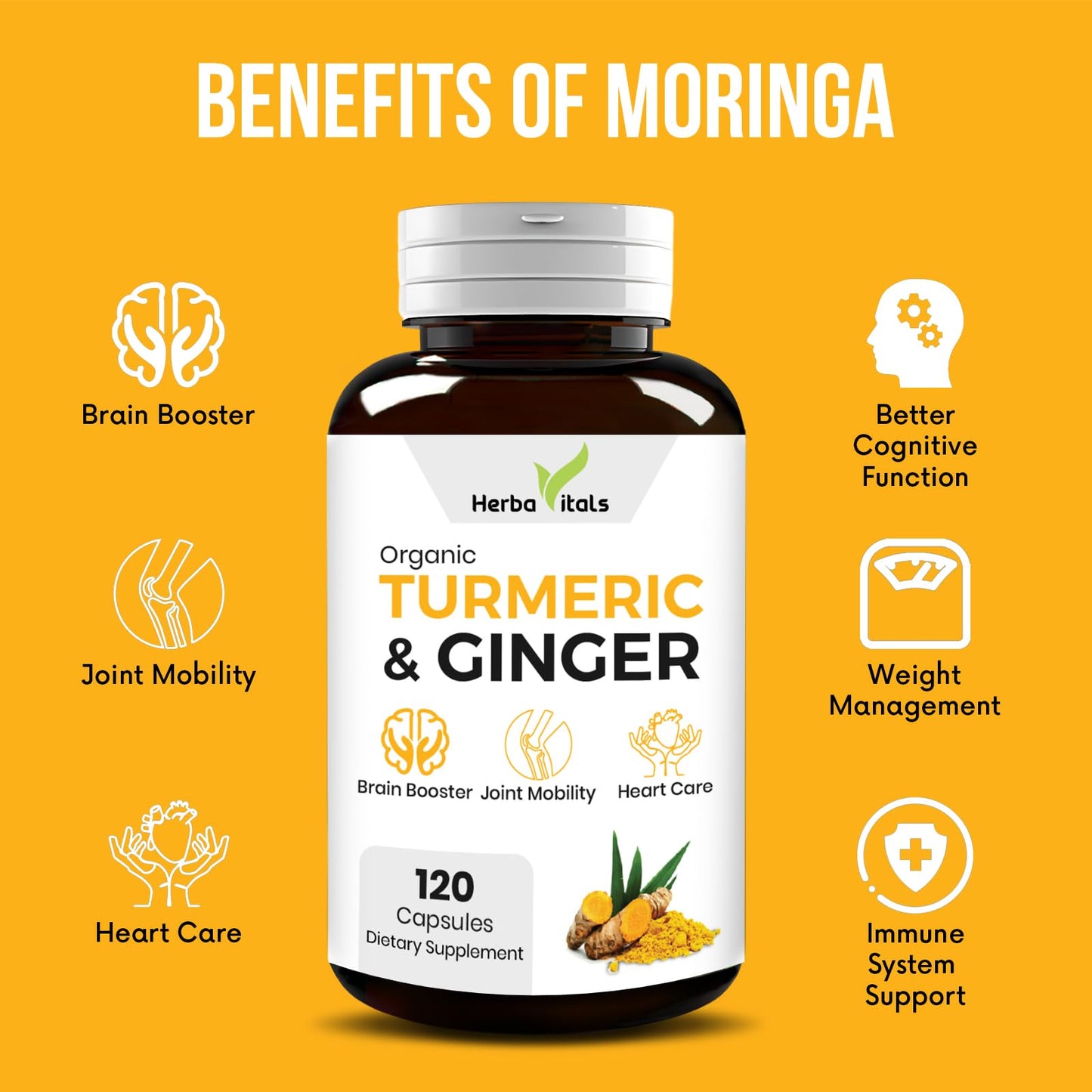 HerbaVitals Turmeric and Ginger Capsules 120 Count