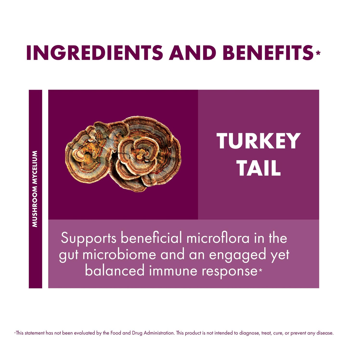 Host Defense Turkey Tail Capsules, 240 Capsules