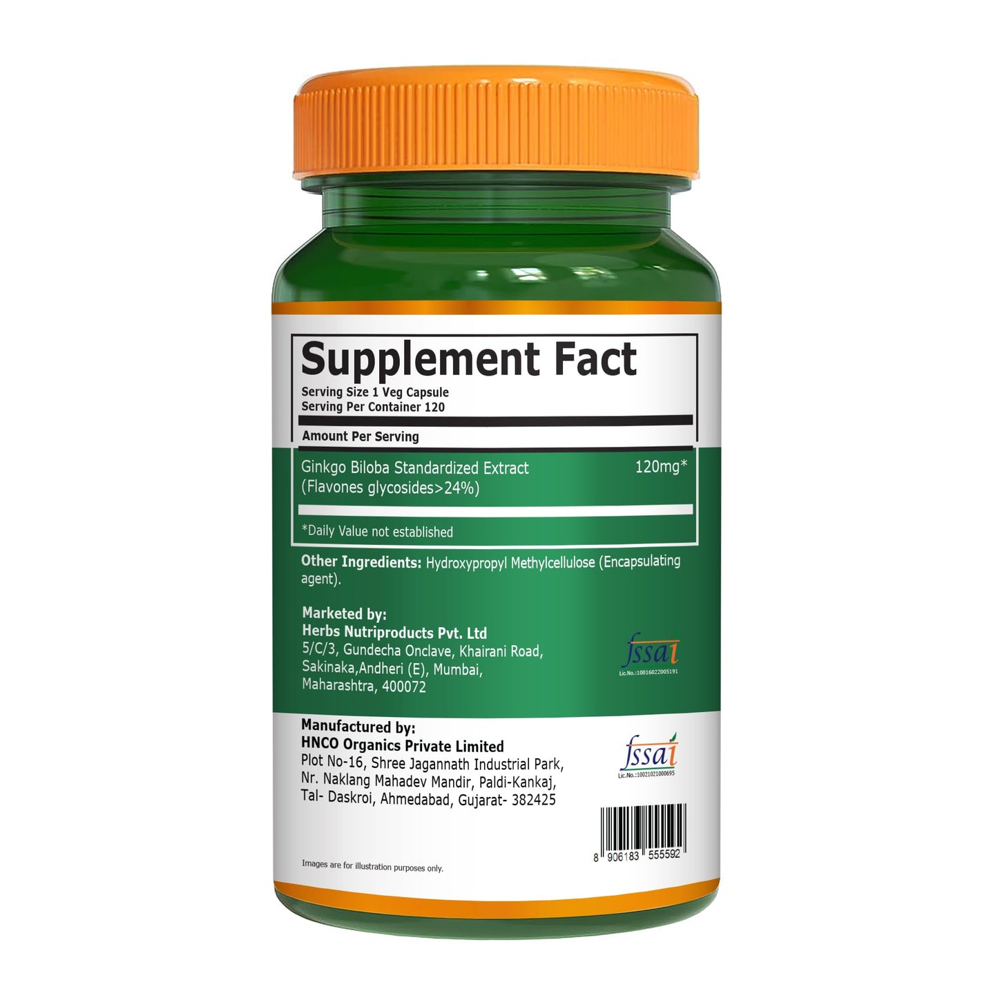 Pure Nutrition Natural Treasures Ginkgo Biloba 120 mg Capsules, 120 Count