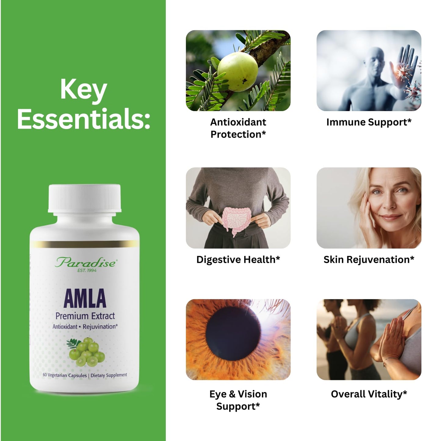 Paradise Herbs Amla 250 mg Organic Whole Spectrum Vitamin C Capsule 60