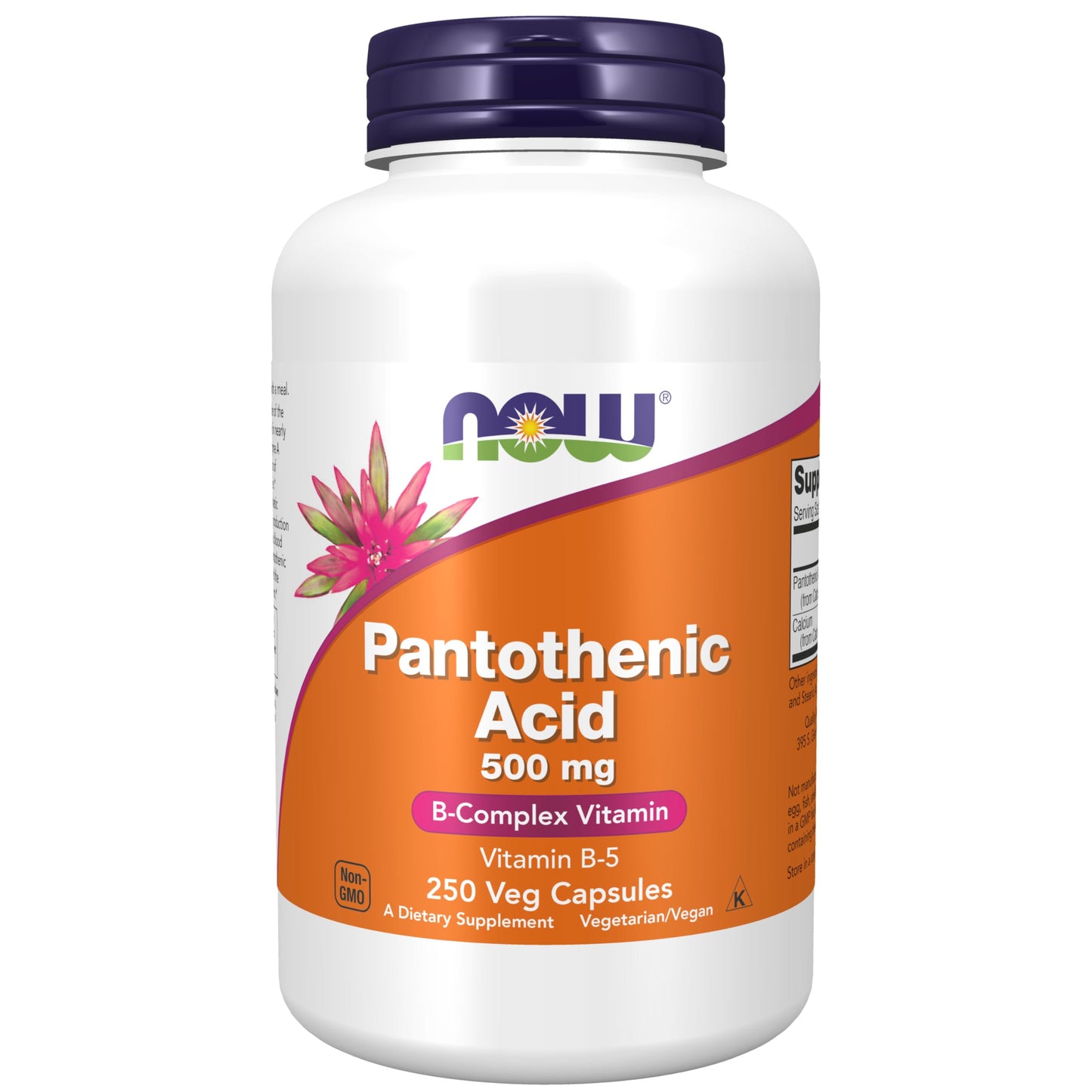 NOW Foods Pantothenic Acid 500 mg Capsule 750 Capsules