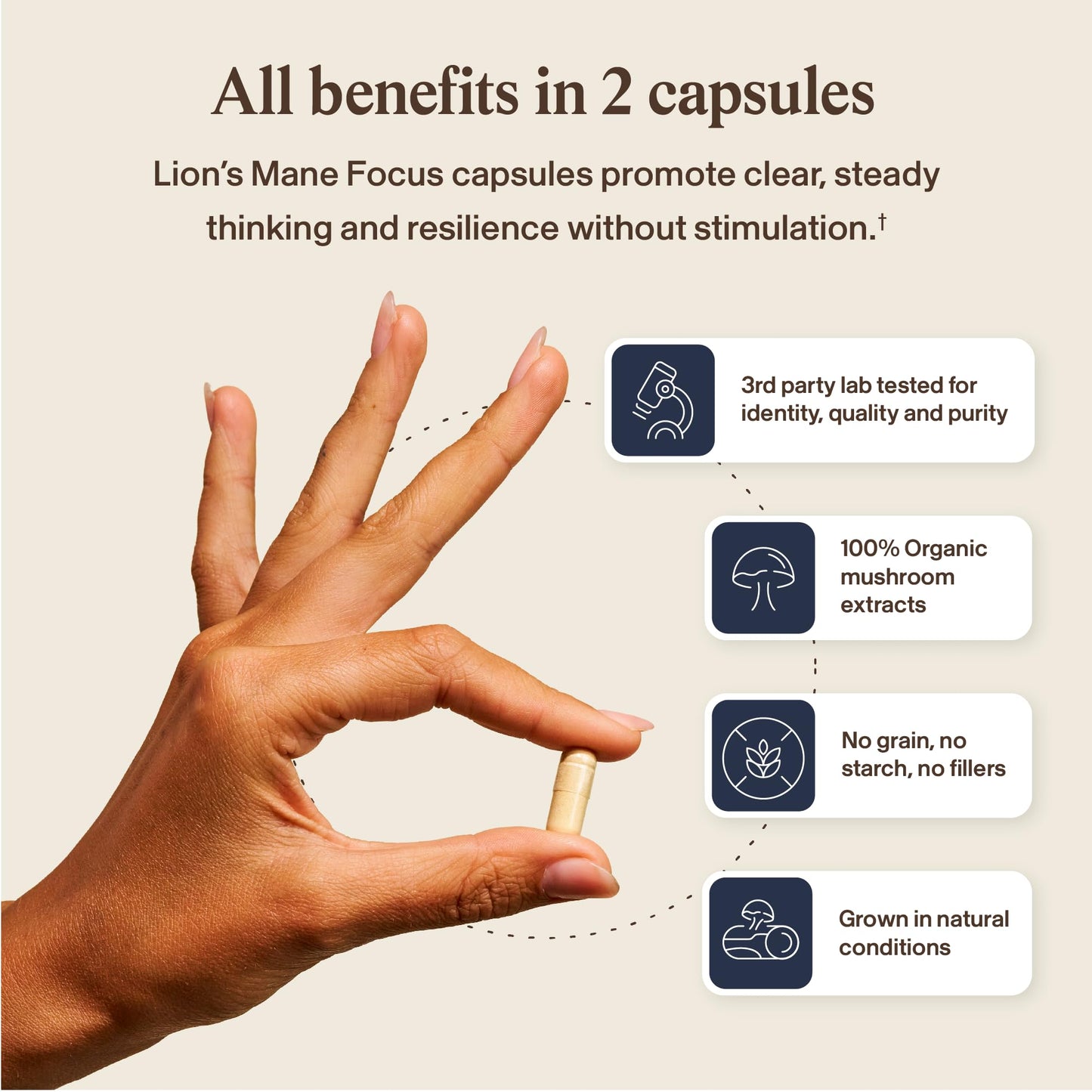 Real Mushrooms Lion’s Mane Focus Capsules 90 Count