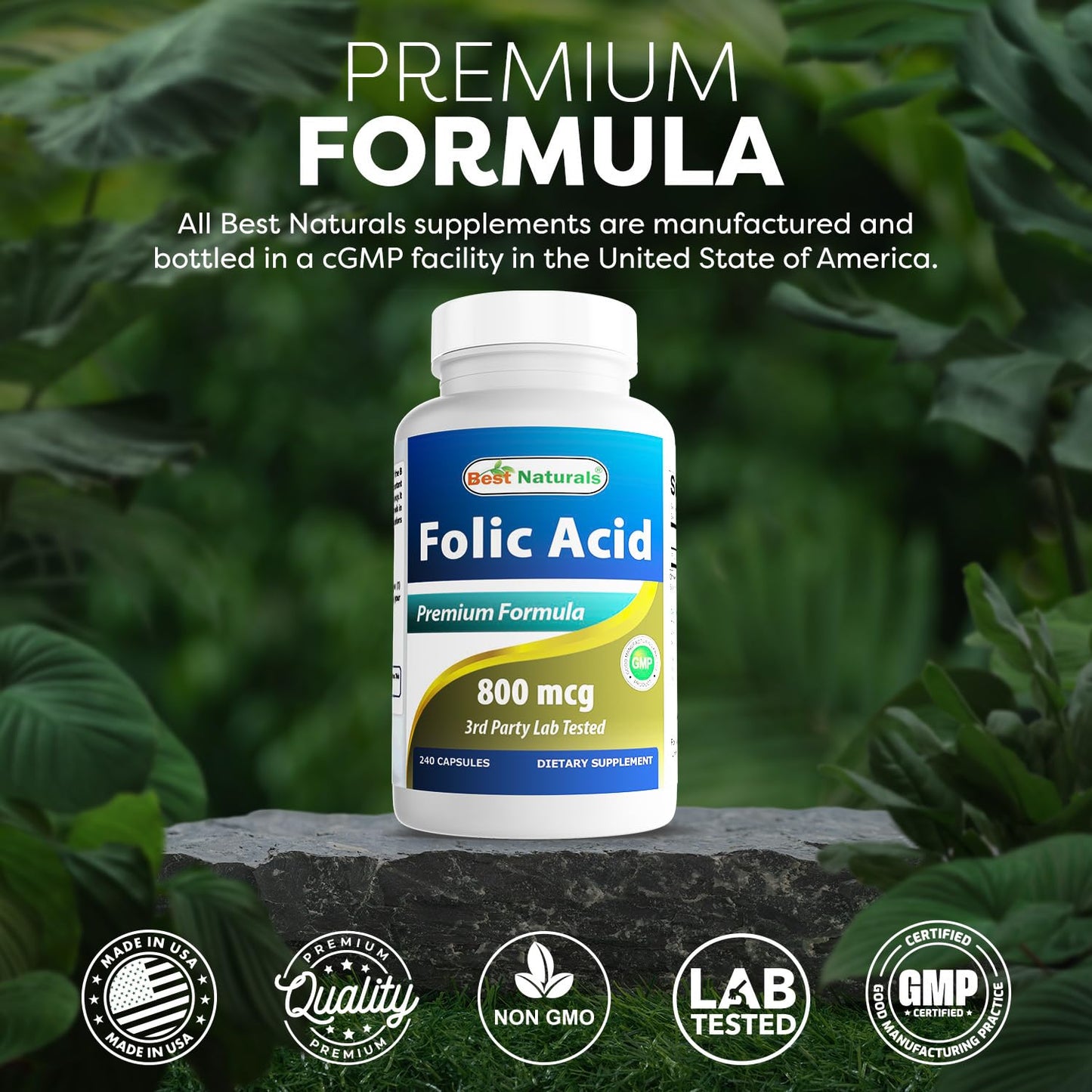 Best Naturals Folic Acid 800 mcg Capsules, 240 Count