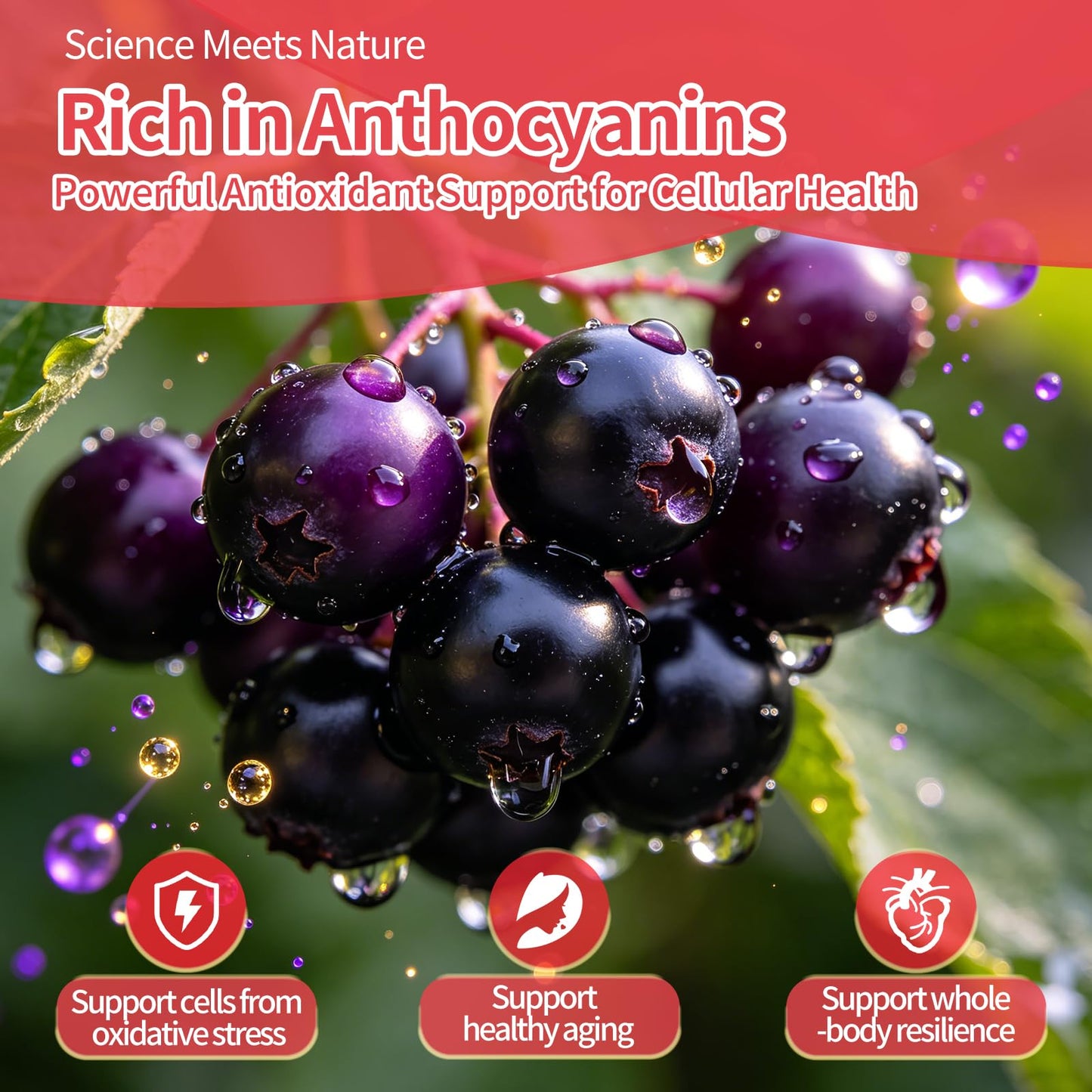 AAGUMMM Elderberry Immune Gummies, 60 Gummies