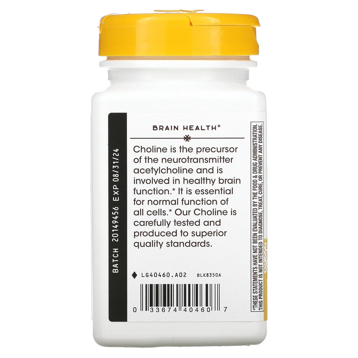 Nature's Way Choline 500 mg Tablets, 100 Count