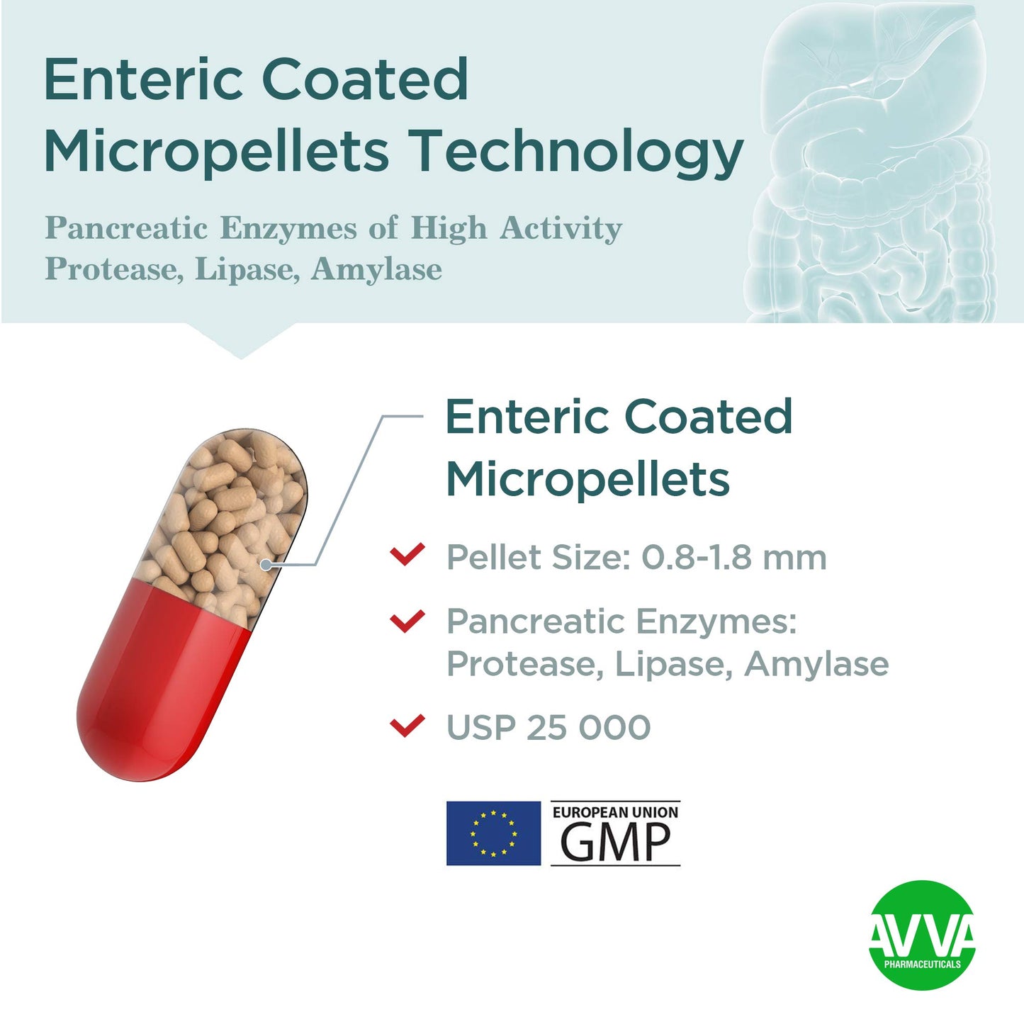 Micrazym AVVA Pharma Pancreatic Enzymes 50 Capsules