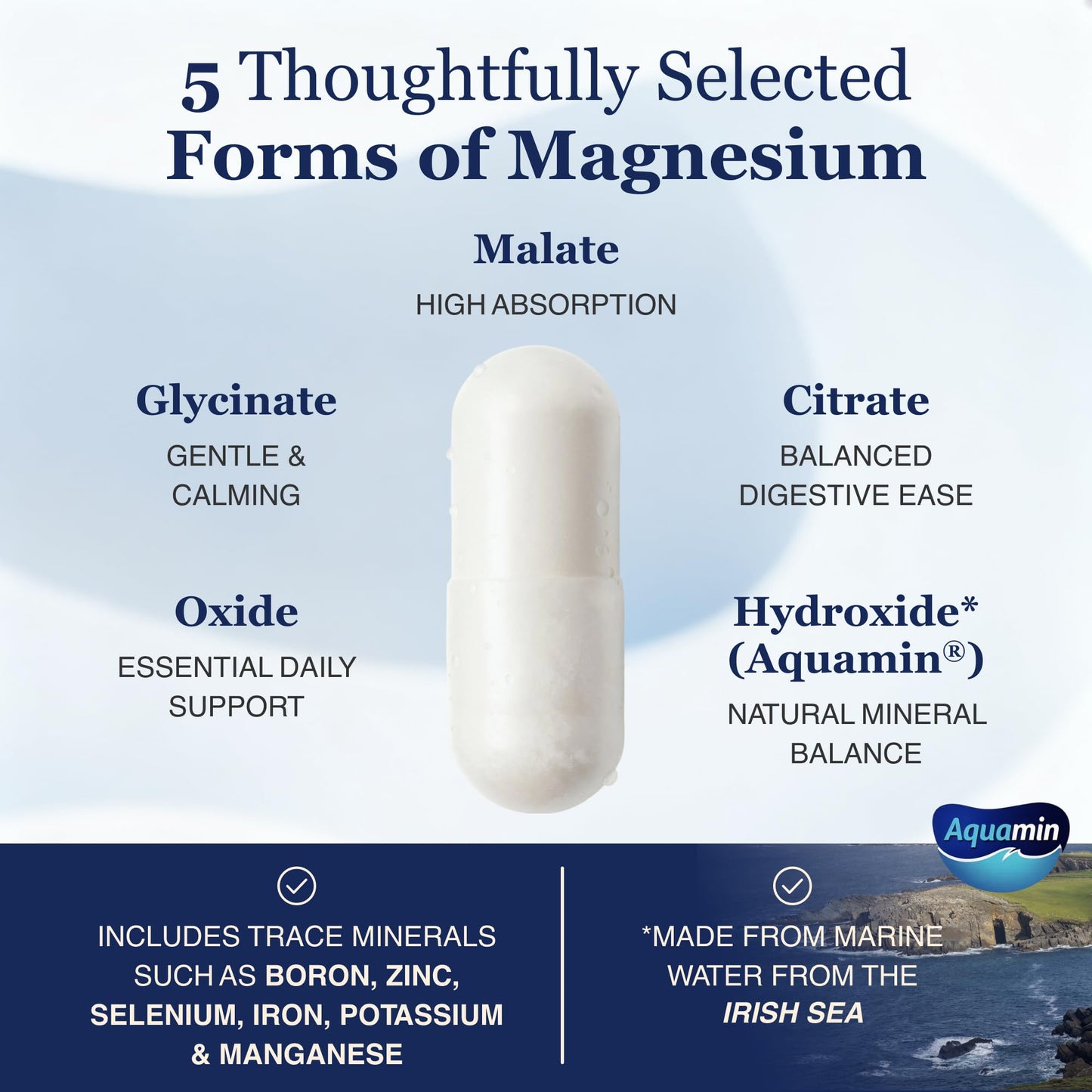 ZnS Health Spectrum 5 Magnesium Complex, 60 Capsules