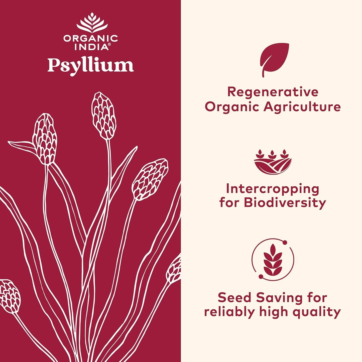 ORGANIC INDIA Psyllium Herbal Powder - Whole Husk Fiber, 12 oz