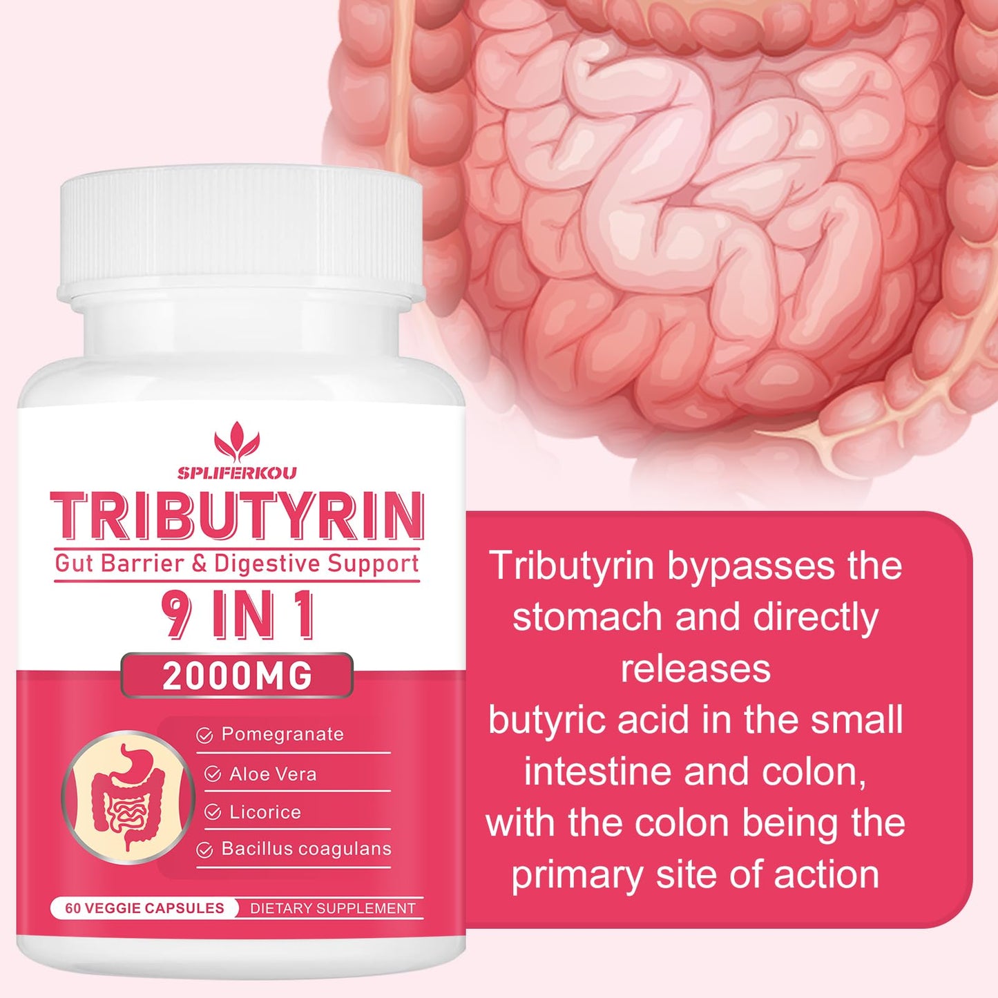 Spliferkou Tributyrin Gut Health Supplement, 9-in-1 Butyrate Complex, 180 Capsules