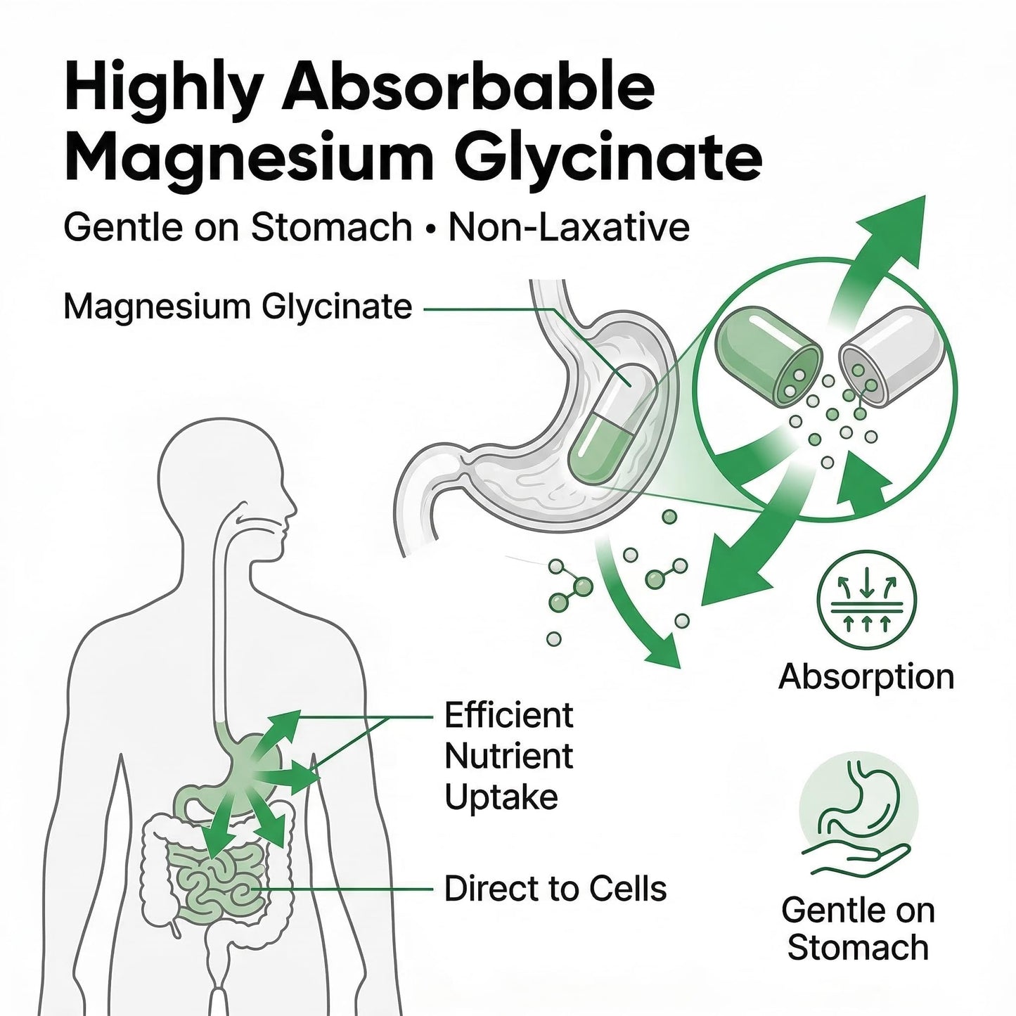 Mansfield Naturals Magnesium Glycinate Supplement Capsules 60 Count