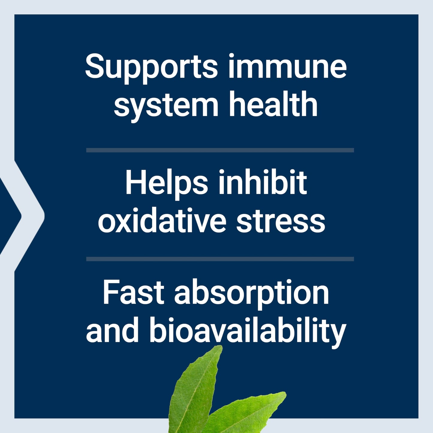 Life Extension Fast-C and Bio-Quercetin Tablets, 60 Tablets