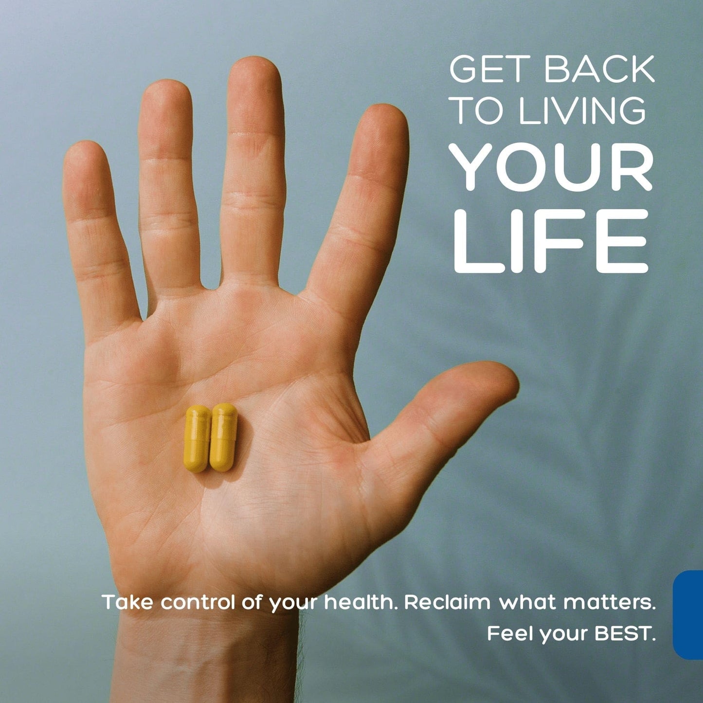 Natural Cure Labs Biofilm Complex Capsules 60 Capsules