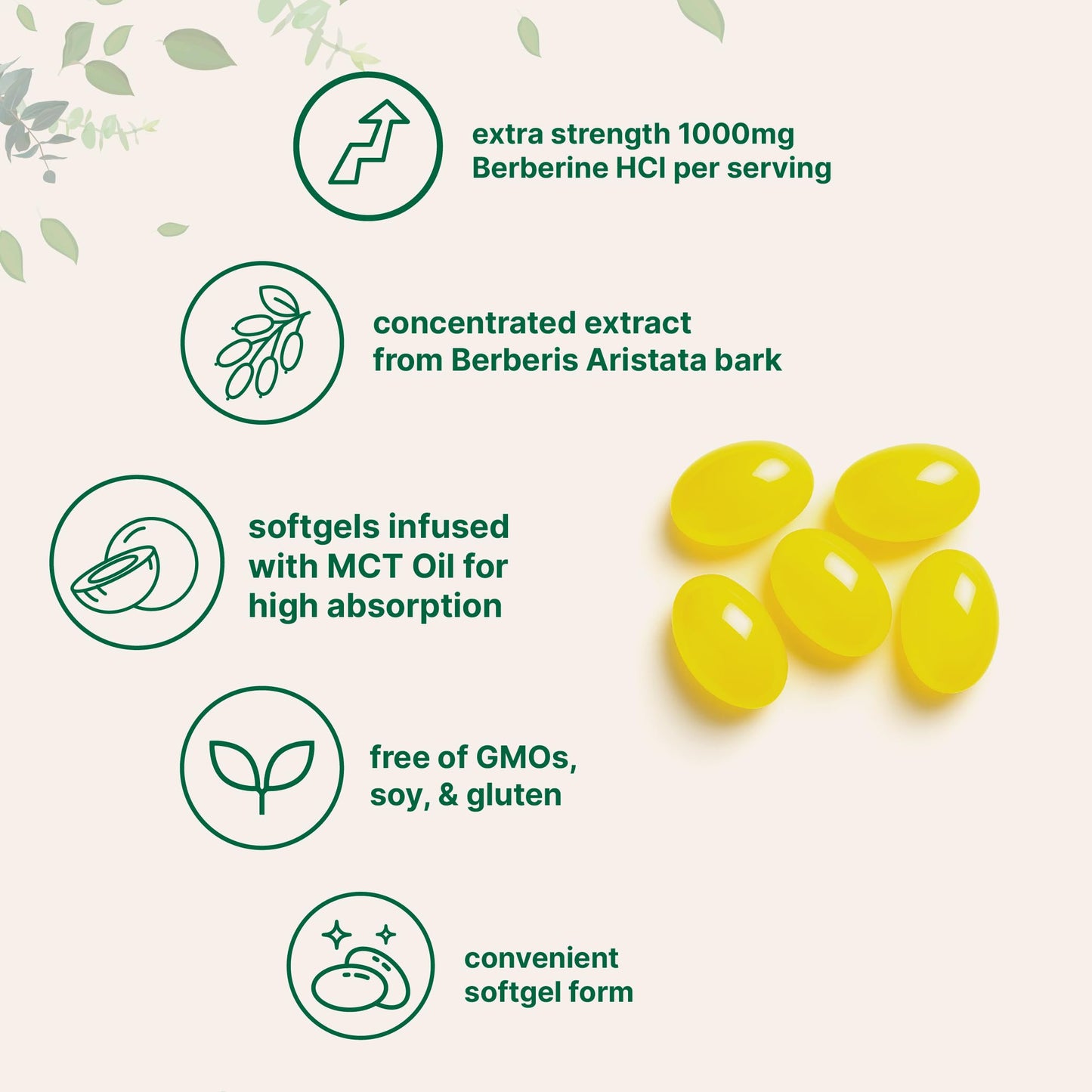 Micro Ingredients Berberine 1000mg with MCT Oil Softgels 240