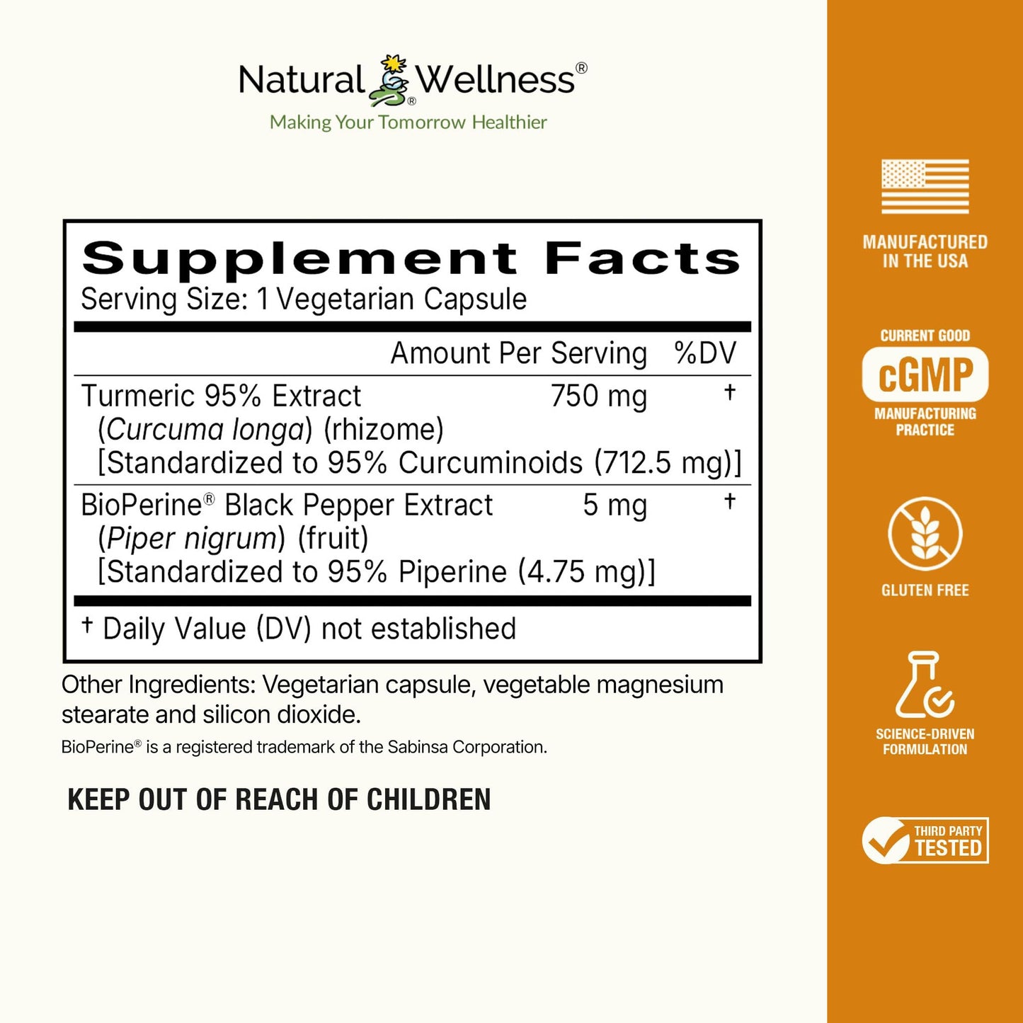 Natural Wellness Turmeric 95 with BioPerine 60 Capsules
