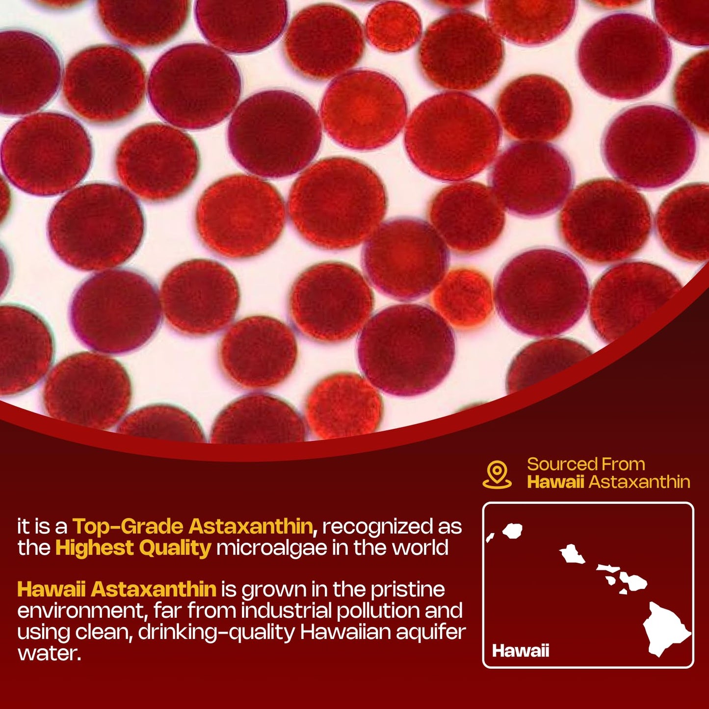 NutriVivency Astaxanthin Gummies 60 Count