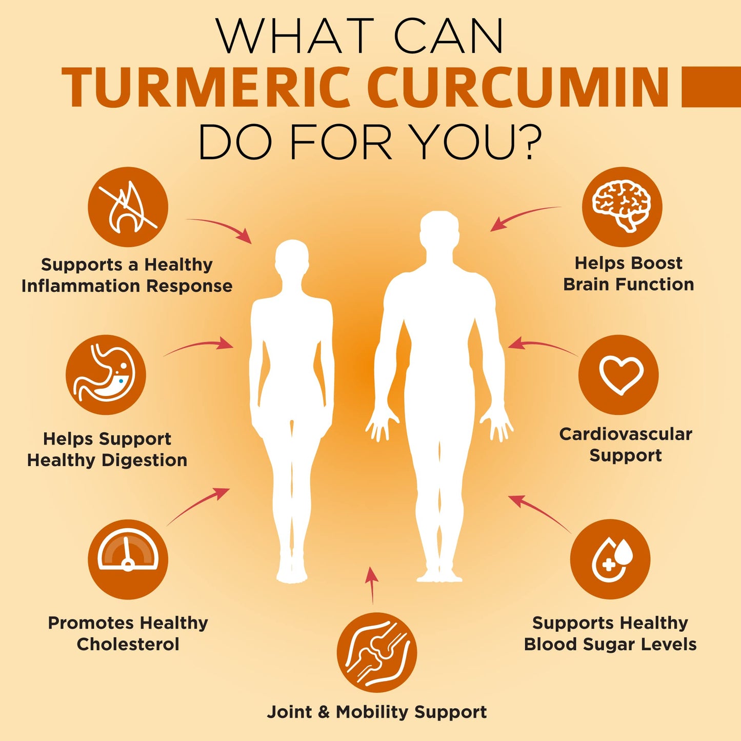 OmniBiotics Organic Turmeric Curcumin with Black Pepper Extract 120 Capsules