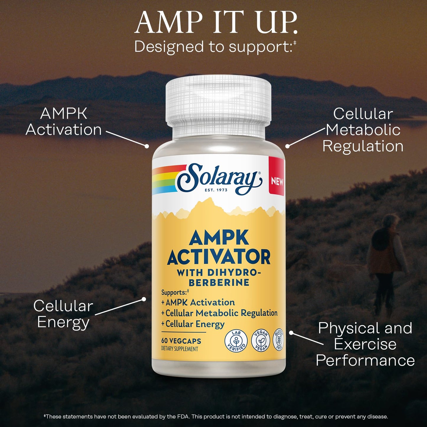 Solaray AMPK Activator Plus Dihydroberberine - Clinically Backed Ingredient - Advanced Berberine Supplement - Cellular Energy and Cellular Metabolism Support Capsule, 60 VegCaps