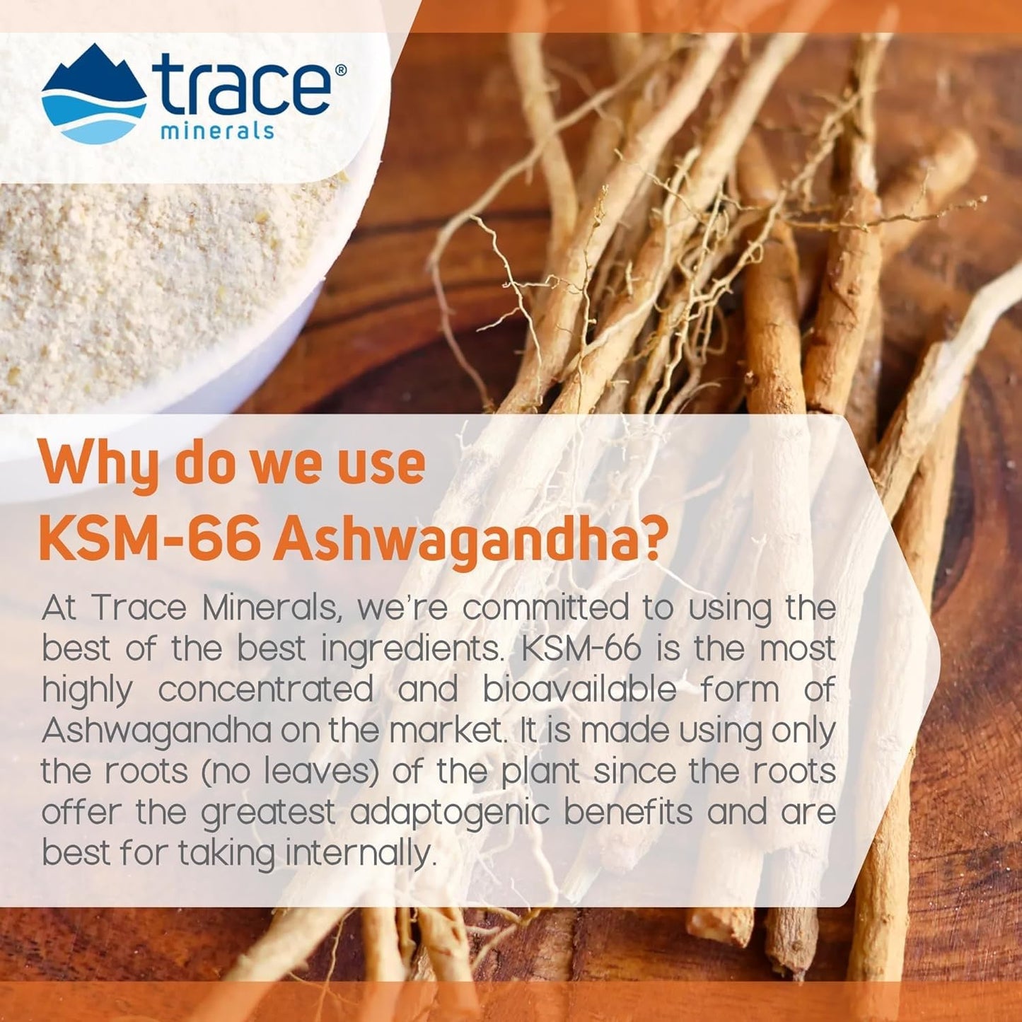 Trace Minerals Ashwagandha Gummy 60 Gummies