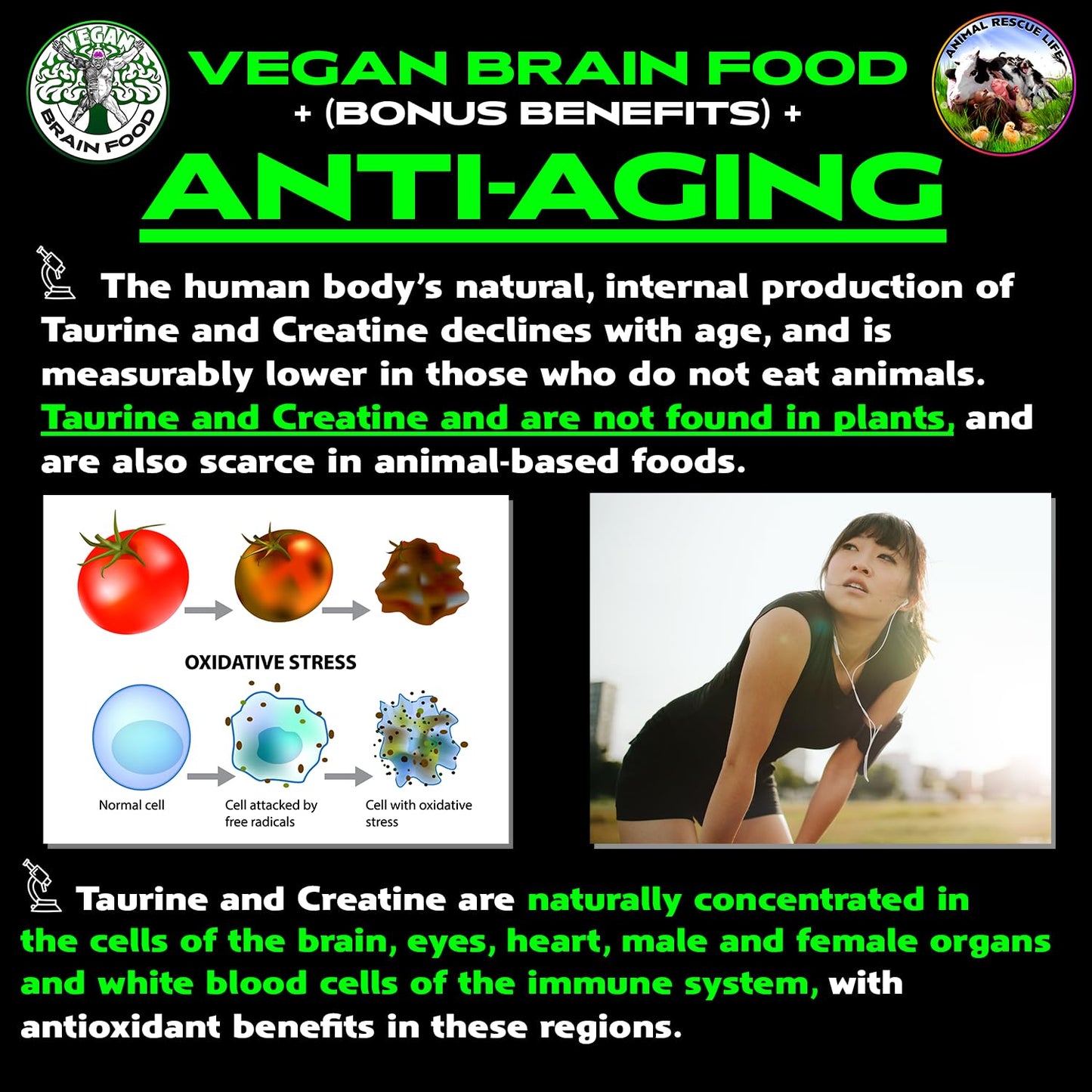 Vegan Brain Food Vegan's Best Friend Plant Based Multivitamin for Men & Women - Brain, Memory, Energy, Immune, Mood & Stress Support - Powder 10.6 oz