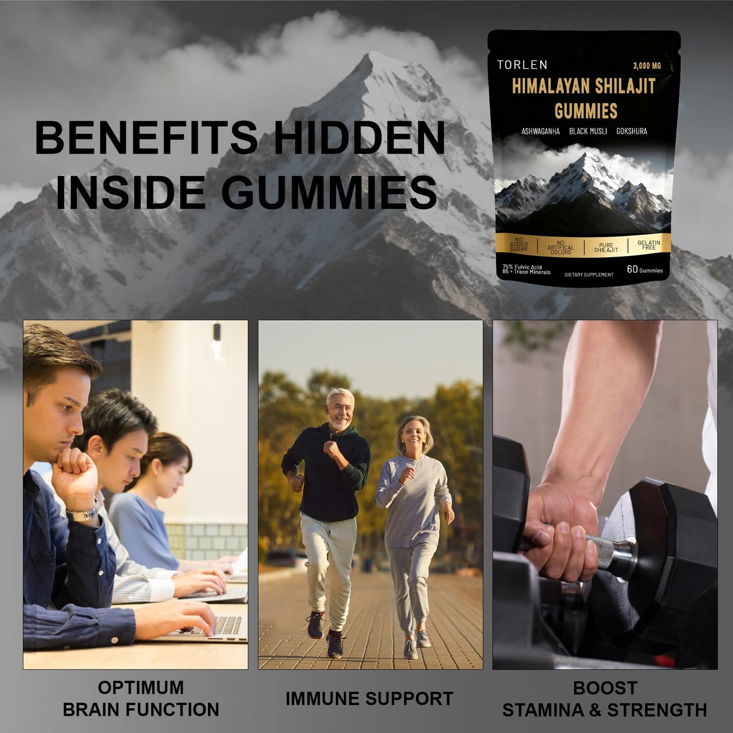 TORLEN Himalayan Shilajit Gummies, 1 Count