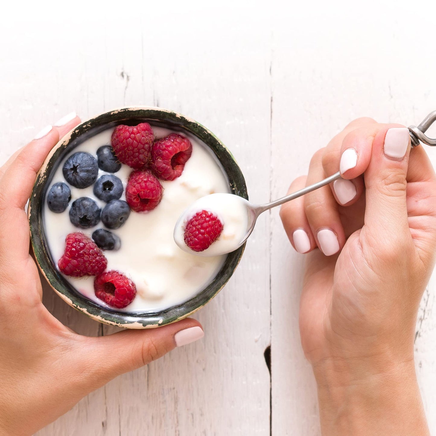 VIVO Probiotic Yogurt Starter Powder Pack of 5