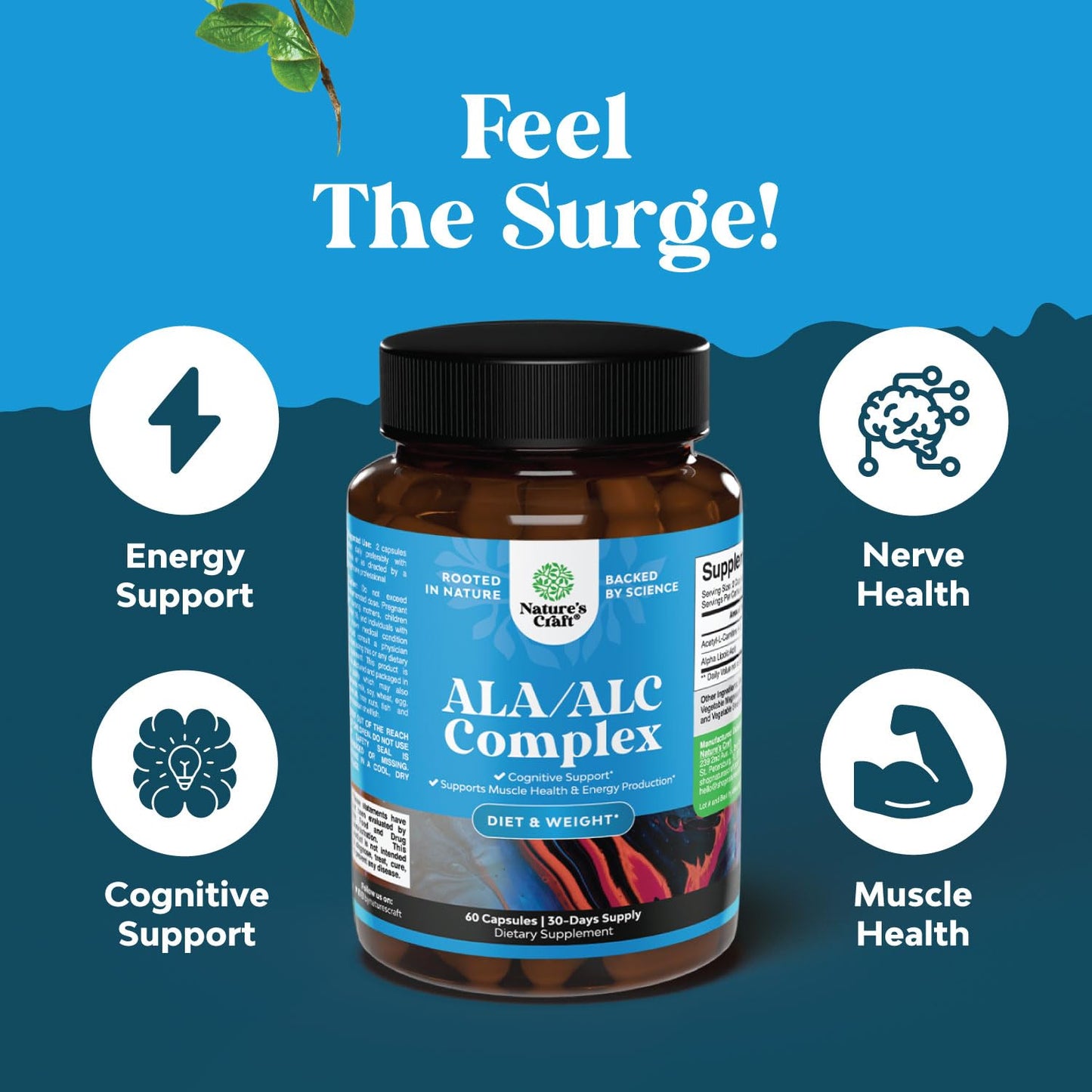 Natures Craft Pure Alpha Lipoic Acid Supplement with Acetyl L-Carnitine Capsules, 60 Count