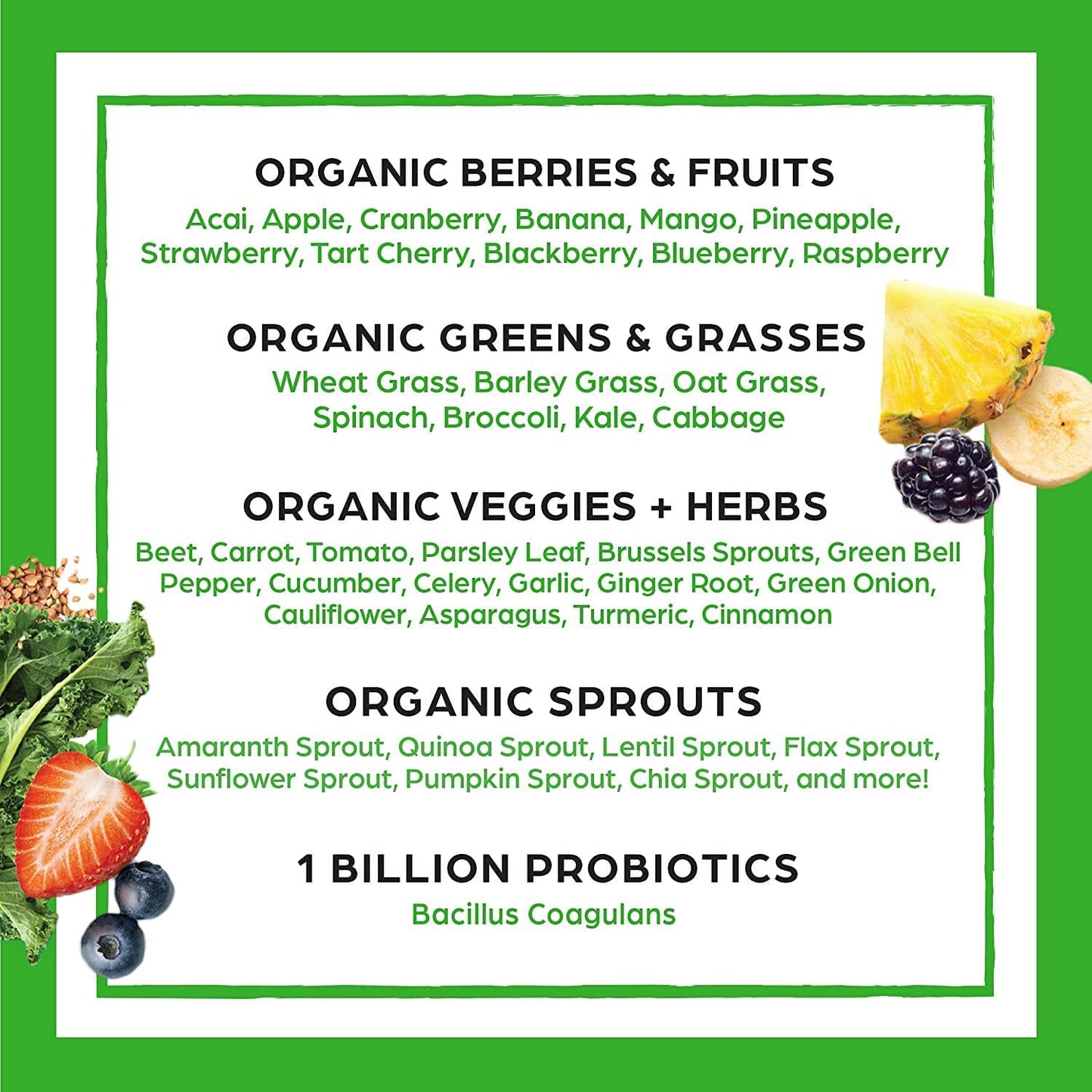 Orgain Organic Vegan Protein Powder + Orgain Organic Greens Powder Superfood Blend, 2 Piece Set, 1 Count