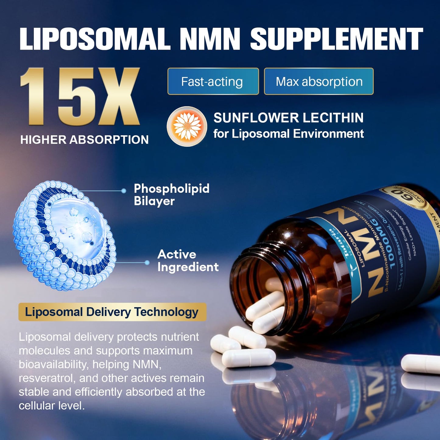 Totaria Liposomal NMN Capsule 1000mg 14-in-1 NMN Resveratrol Complex with CoQ10, TMG, Quercetin, ALA, PQQ NAD Levels Support for Cellular Energy & Healthy Aging, 60 Capsules