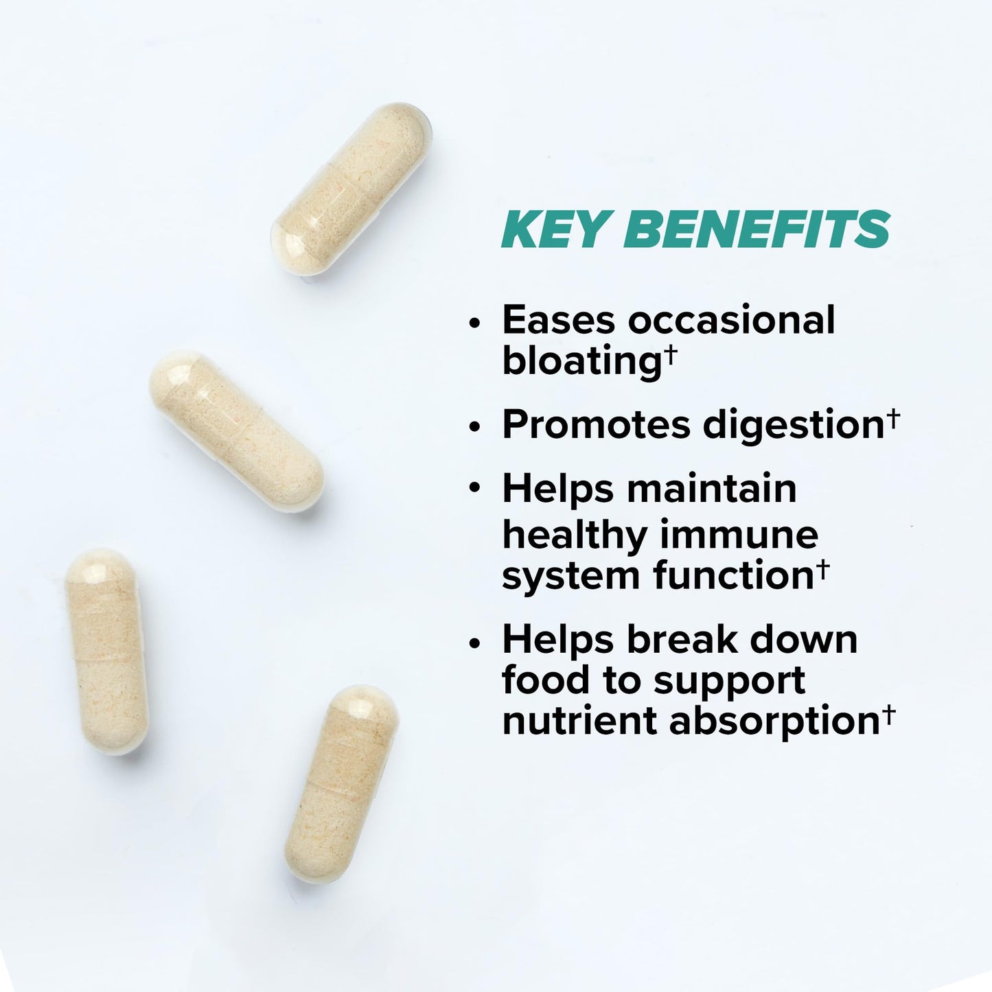 ONNIT Total Gut Health Daily Digestive Support Capsules 120