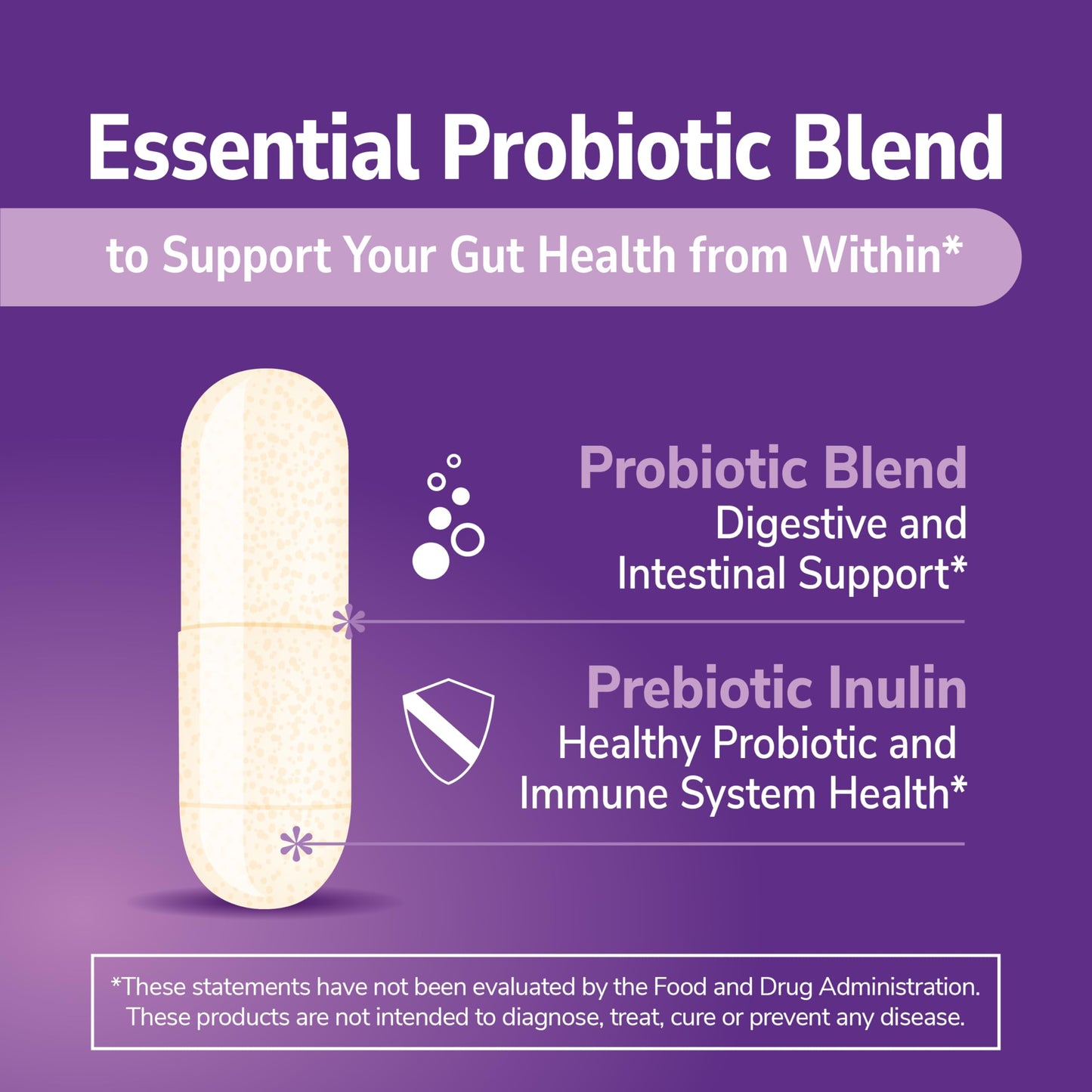 21st Century Acidophilus Probiotic Blend 300 Capsules