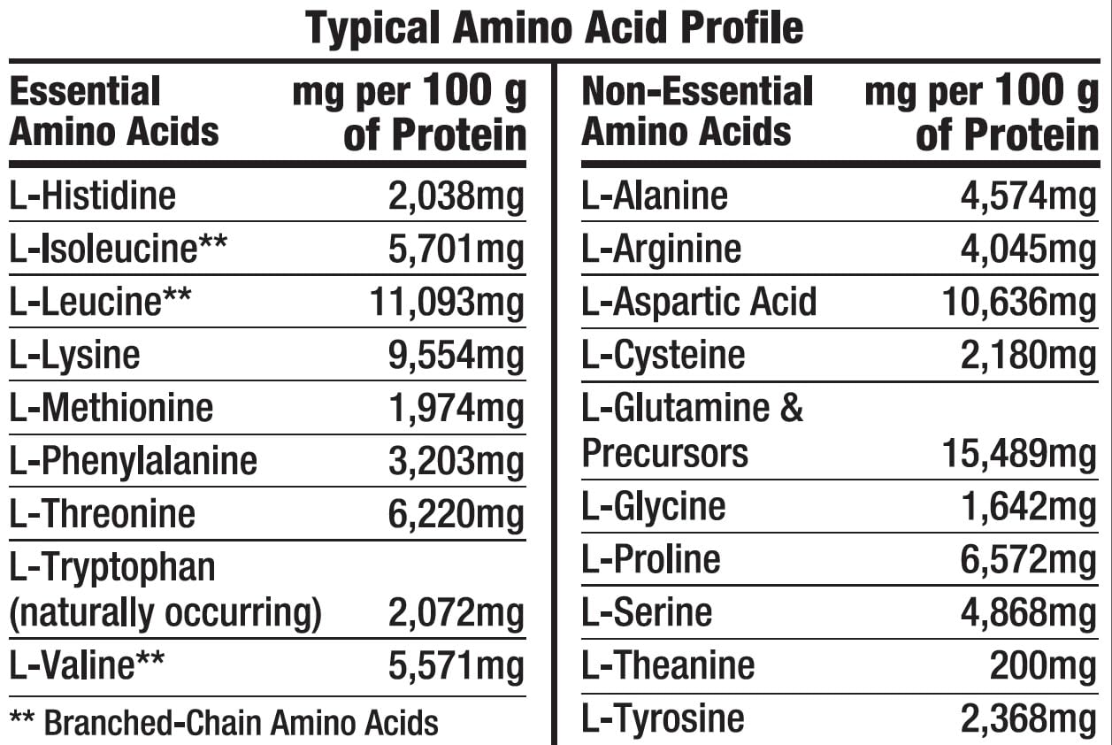Healthy 'N Fit 100% WHEY PRO-AMINO v2.0-Chocolate Powder 32 Servings