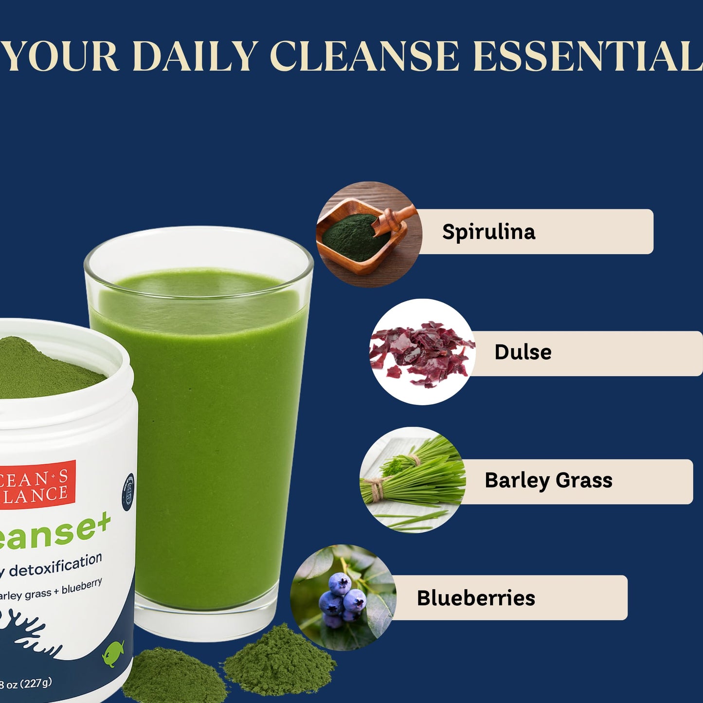 Ocean's Balance Clean Taste of Maine Seacleanse+ Daily Detox Cleanse Powder, 8 oz