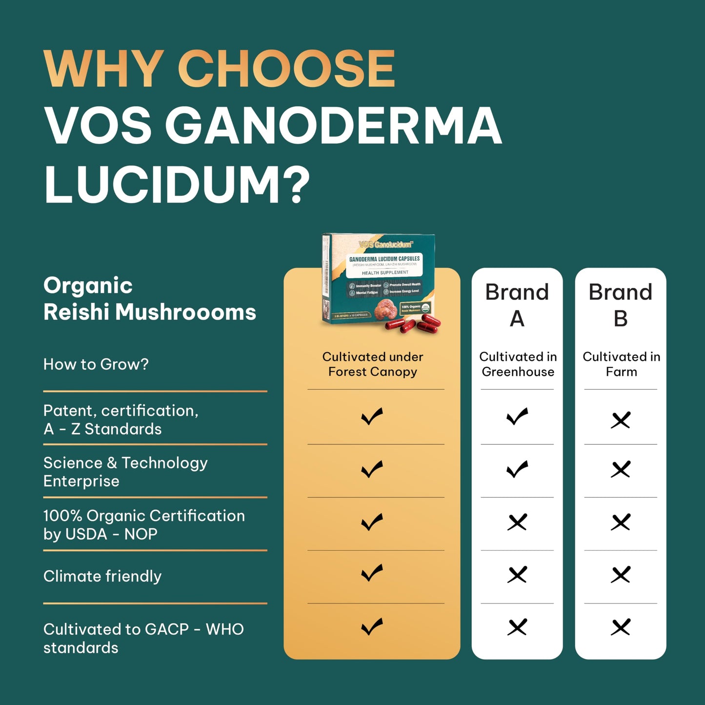 VOS GANOLUCIDUM Red Reishi Mushroom Capsules 30 Capsules