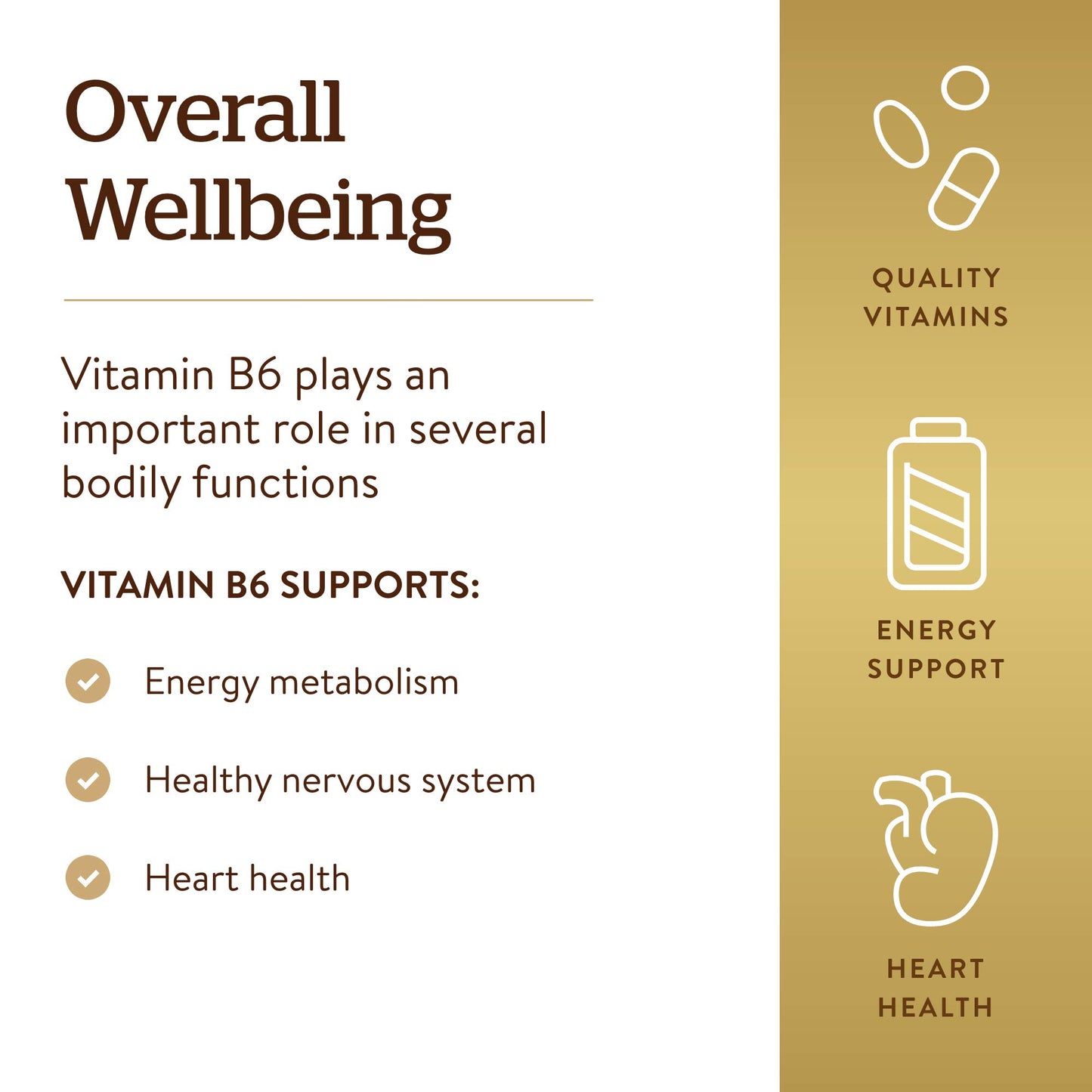 Solgar Vitamin B6 25 mg, 100 Tablets