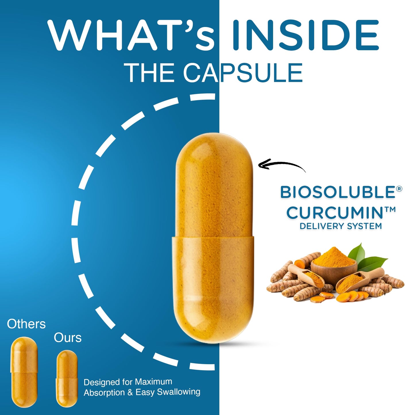 curcuminpro Detox Capsules 60 Count