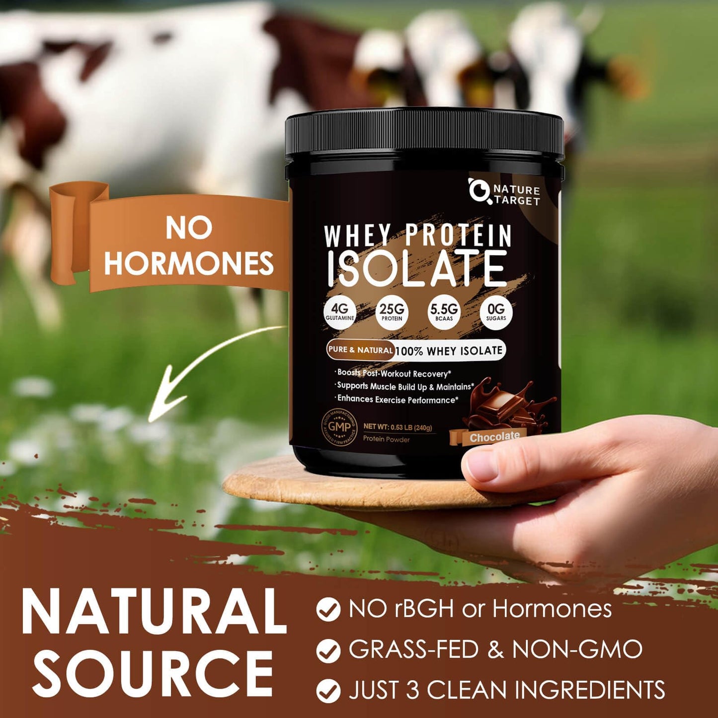 NATURE TARGET Chocolate Whey Isolate Protein Powder, 10.6 Ounce