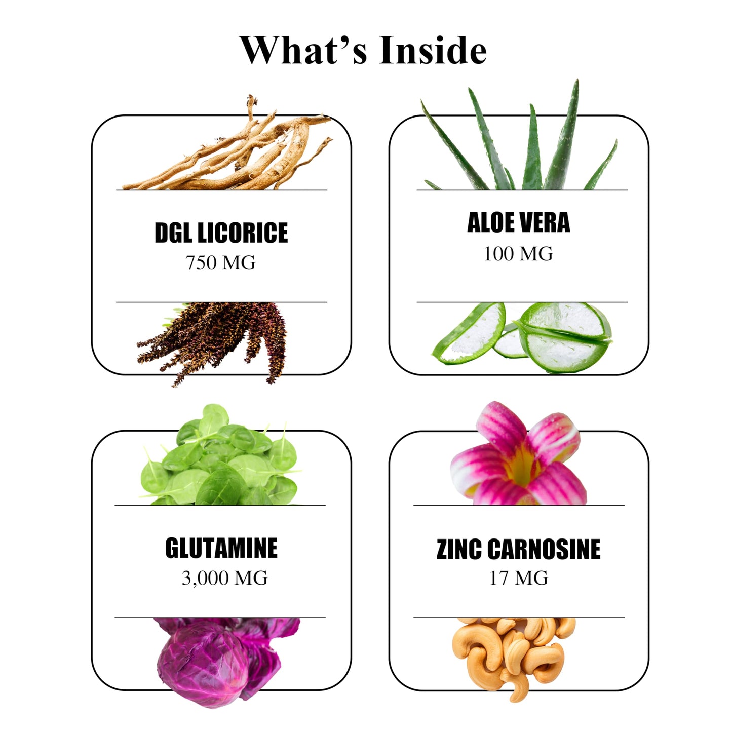 Durable Acid Relief DGL & Aloe Vera Powder 3.17