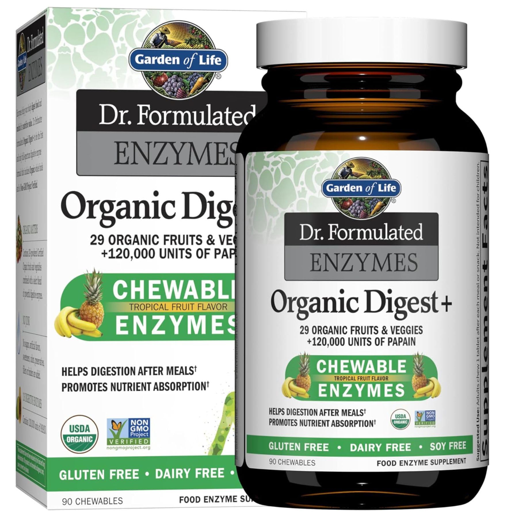 Garden of Life Digestive Enzymes with Papain, Bromelain and Lipase for Nutrient Absorption and Digestion Support Chewables 540