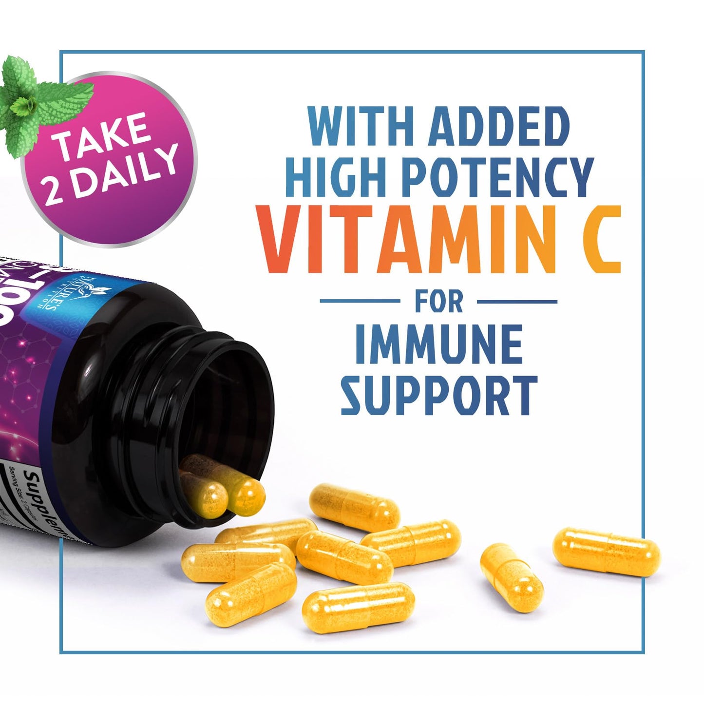 Nature's Nutrition B Complex Vitamins Capsules - B-100 Complex with Vitamin B12, B6, C, Biotin, Folate & Folic Acid for Immune & Energy Support - 60 Capsules