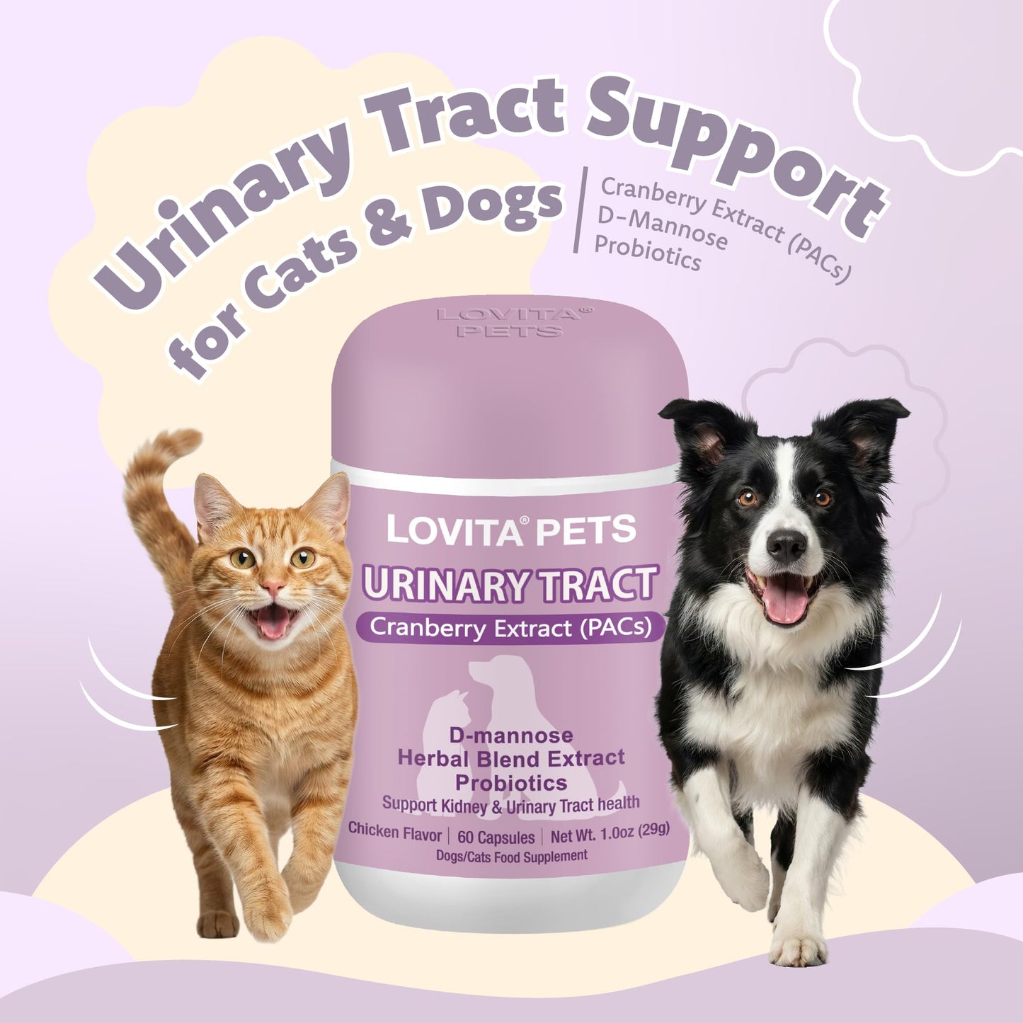LOVITA Urinary Tract Support for Dogs & Cats Capsule, 60 Capsules
