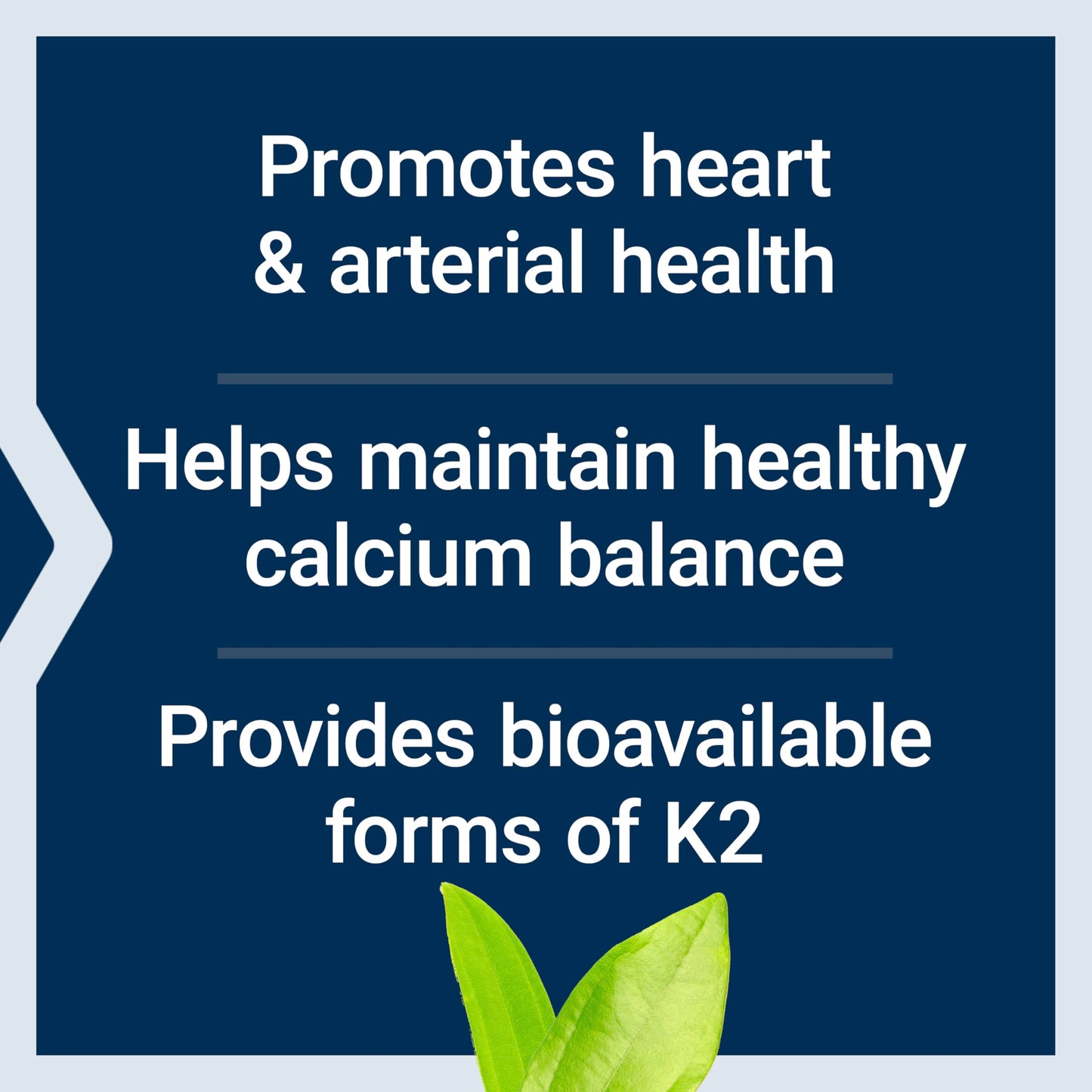 Life Extension Super K Softgels 90 Count