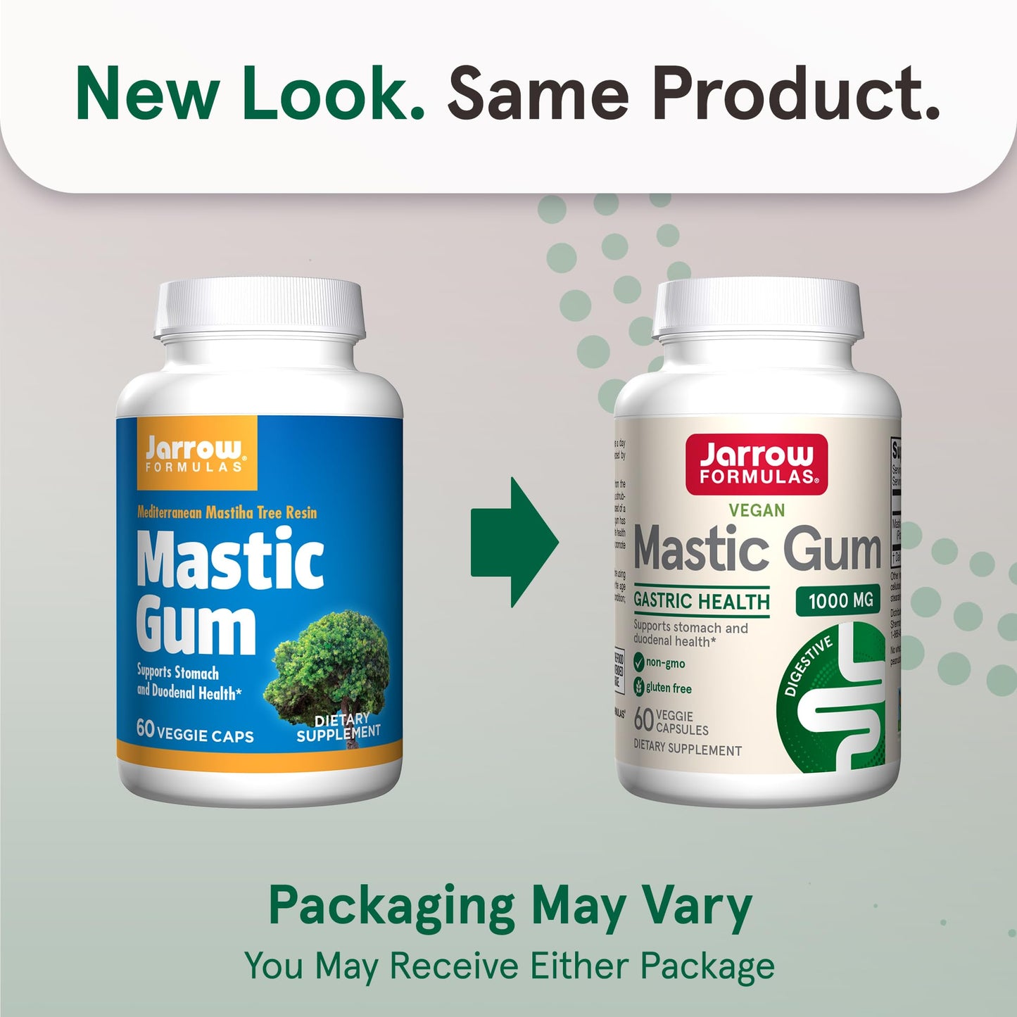 Jarrow Formulas Mastic Gum 1000 mg Capsule, 60 Count