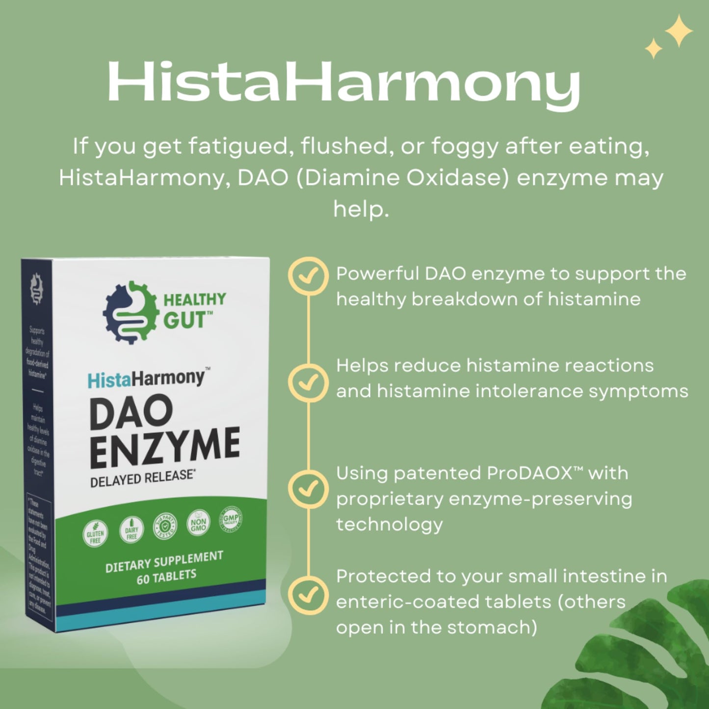 Healthy Gut HistaHarmony 60 Tablets and HoloZyme Digestive Enzymes 30 Capsules, 90 Count