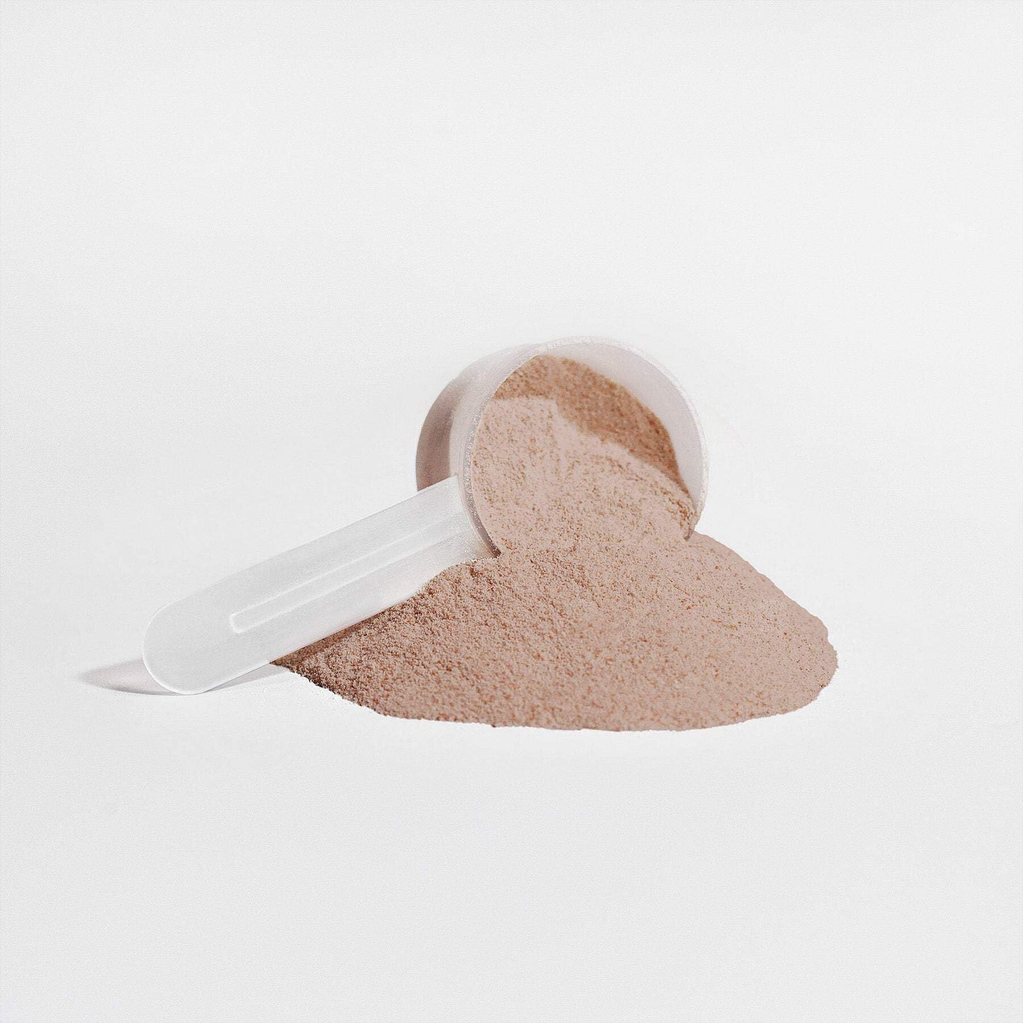 Aerial Biotechnics ASCEND Plant Protein Powder (Chocolate), 29.99
