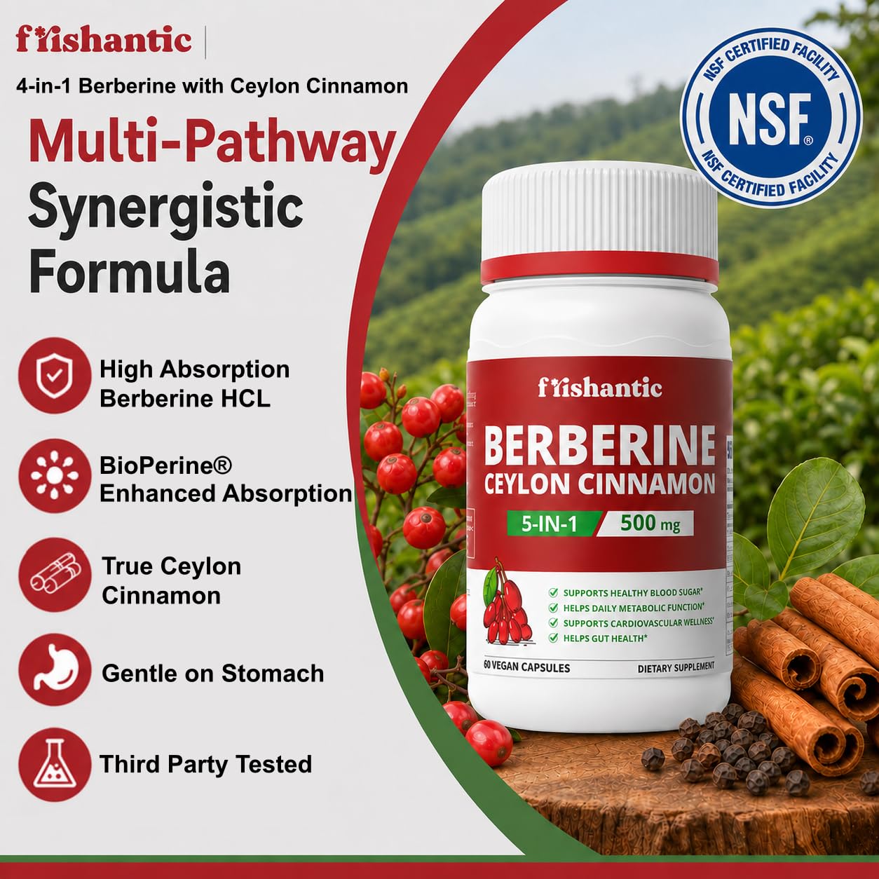Frishantic Berberine HCL 500mg with Ceylon Cinnamon, 5-in-1 Complex, Capsule, 60 Count