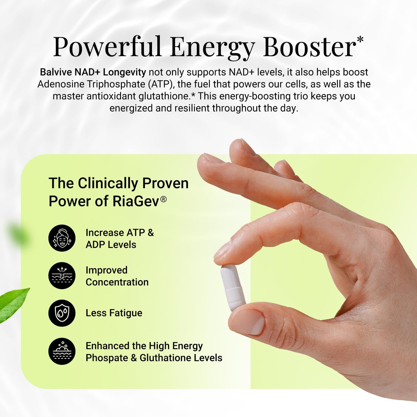 BALVIVE NAD+ Longevity Booster Supplement Bioenergy Ribose & Nicotinamide for Energy, Focus & Cellular Support - High Bioavailability Complex for Men & Women - Natural Ingredients Capsules, 30 Count