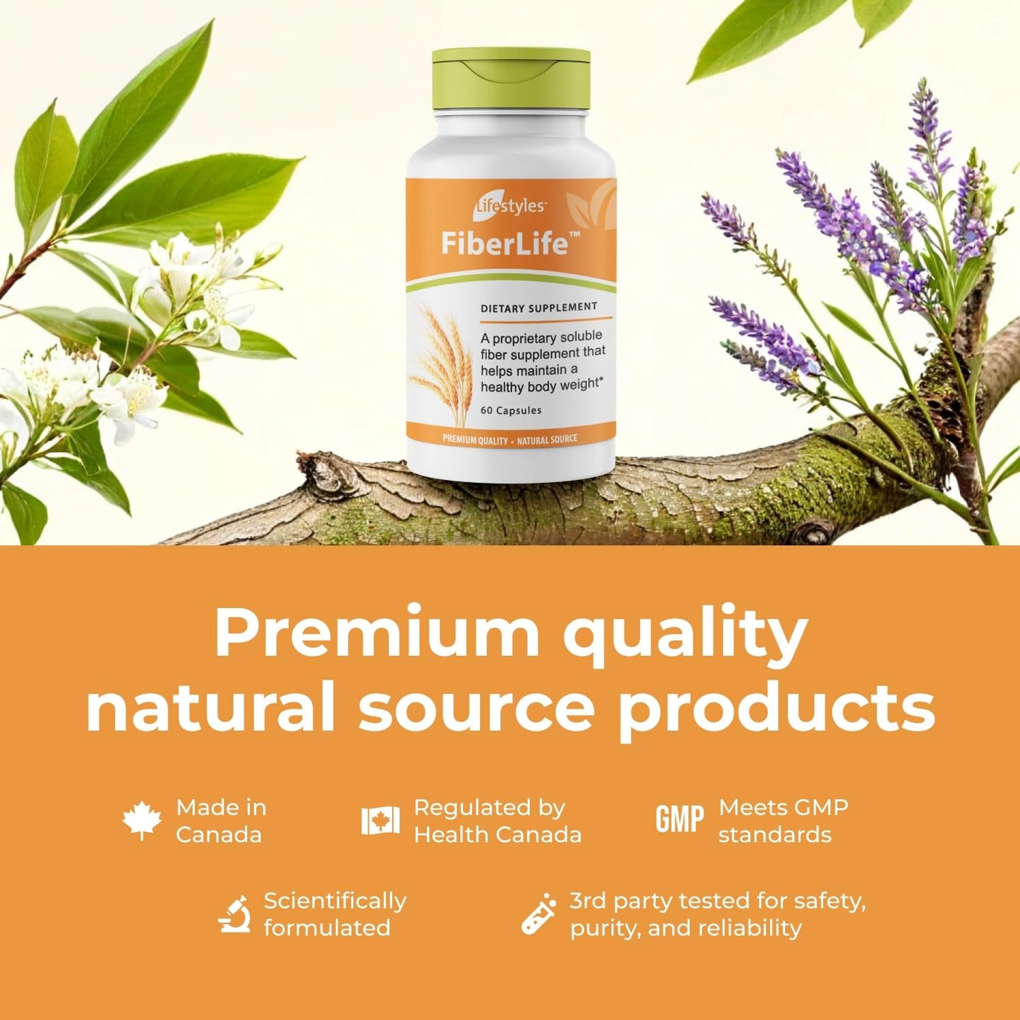 Intra FiberLife Supplement Capsule, 1 Capsule