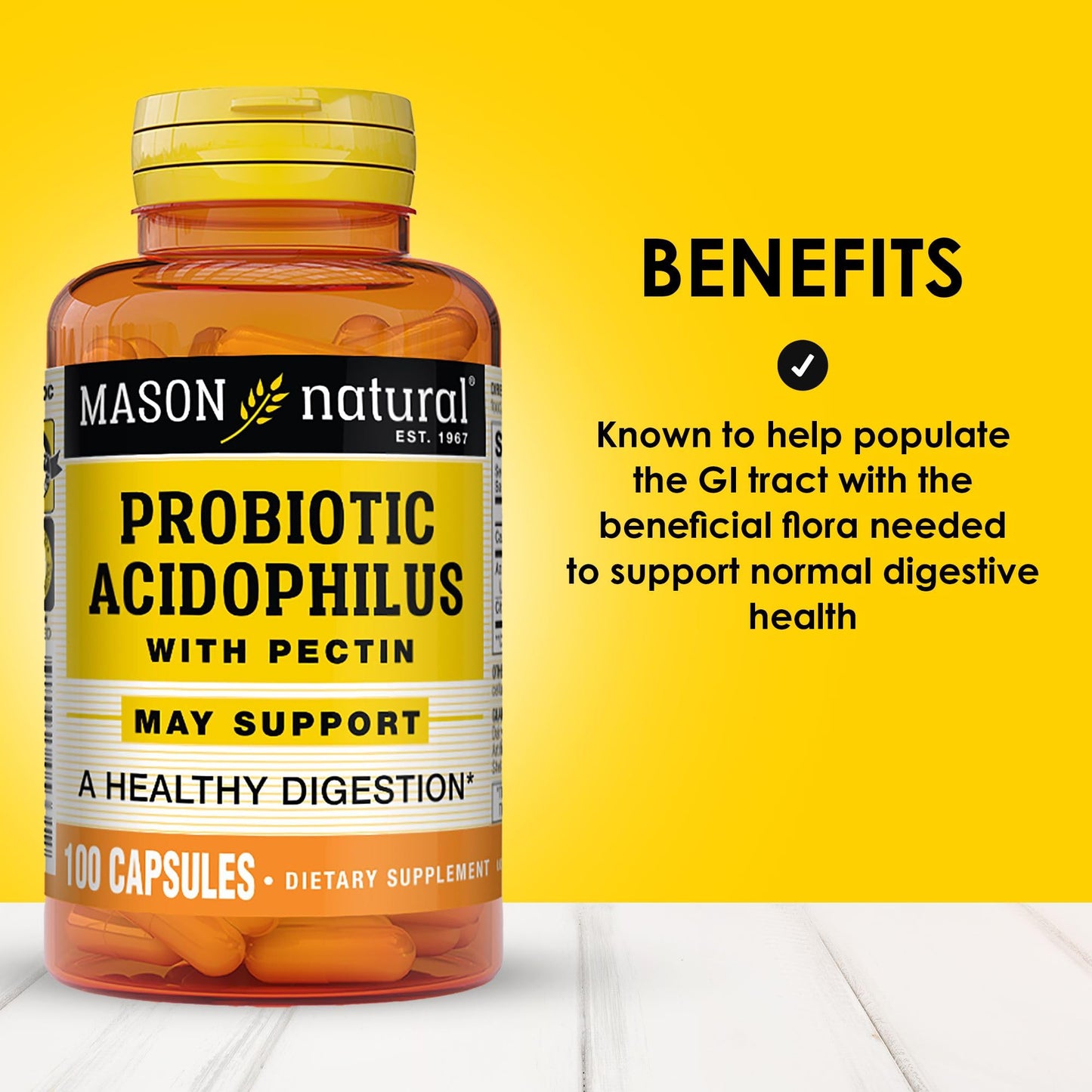Mason Natural Probiotic Acidophilus Capsules 300